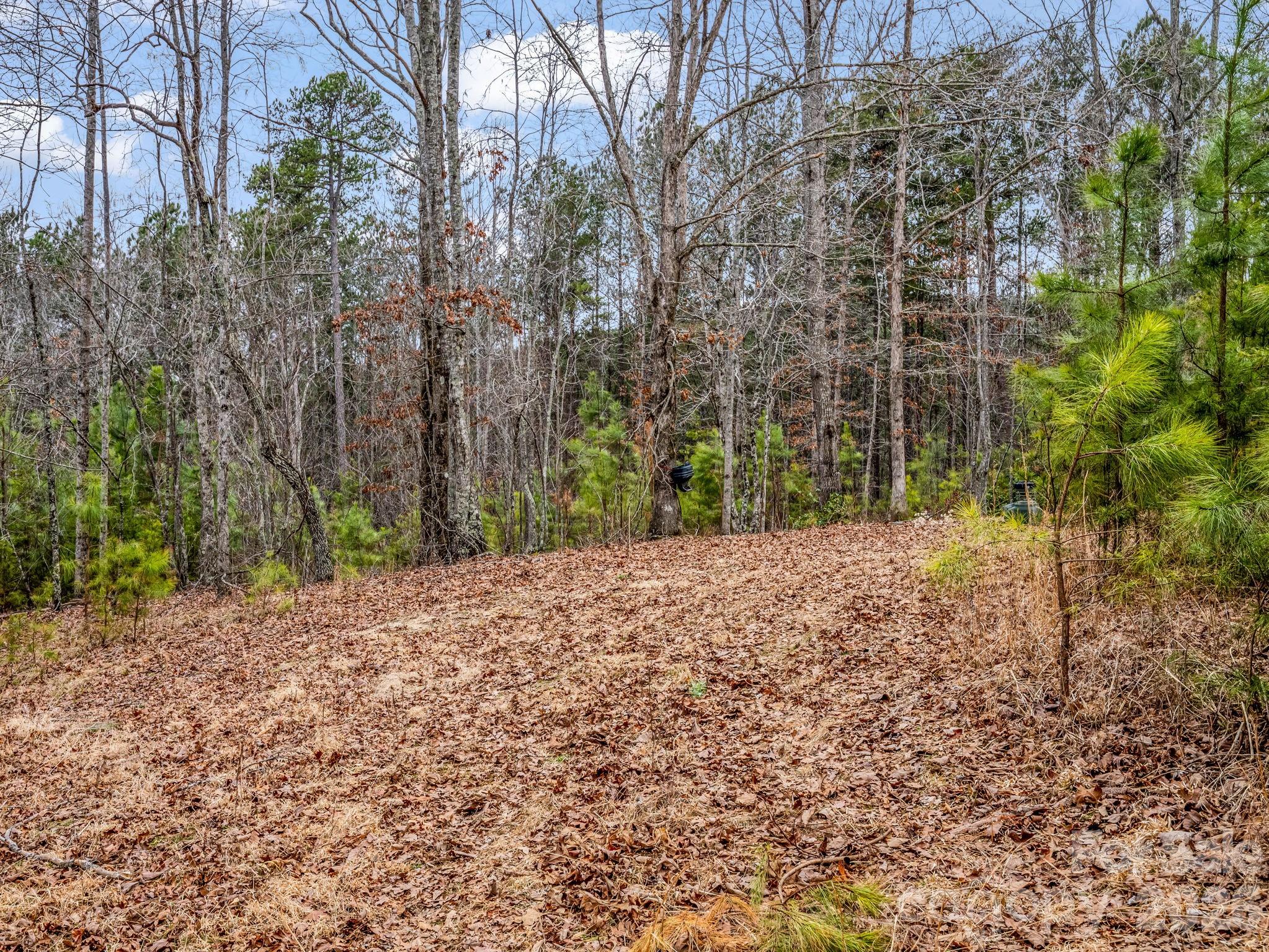 0 River Road Rutherfordton, NC 28139 - Photo 13 of 41 Gallery Image 13