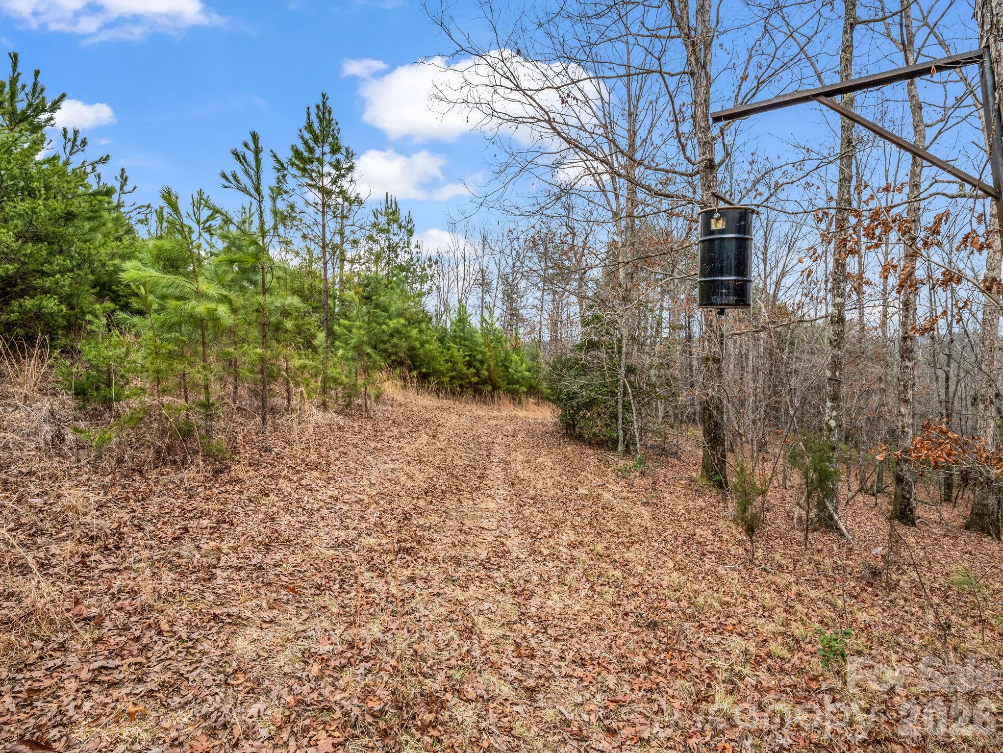 0 River Road Rutherfordton, NC 28139 - Photo 14 of 41 Gallery Image 14