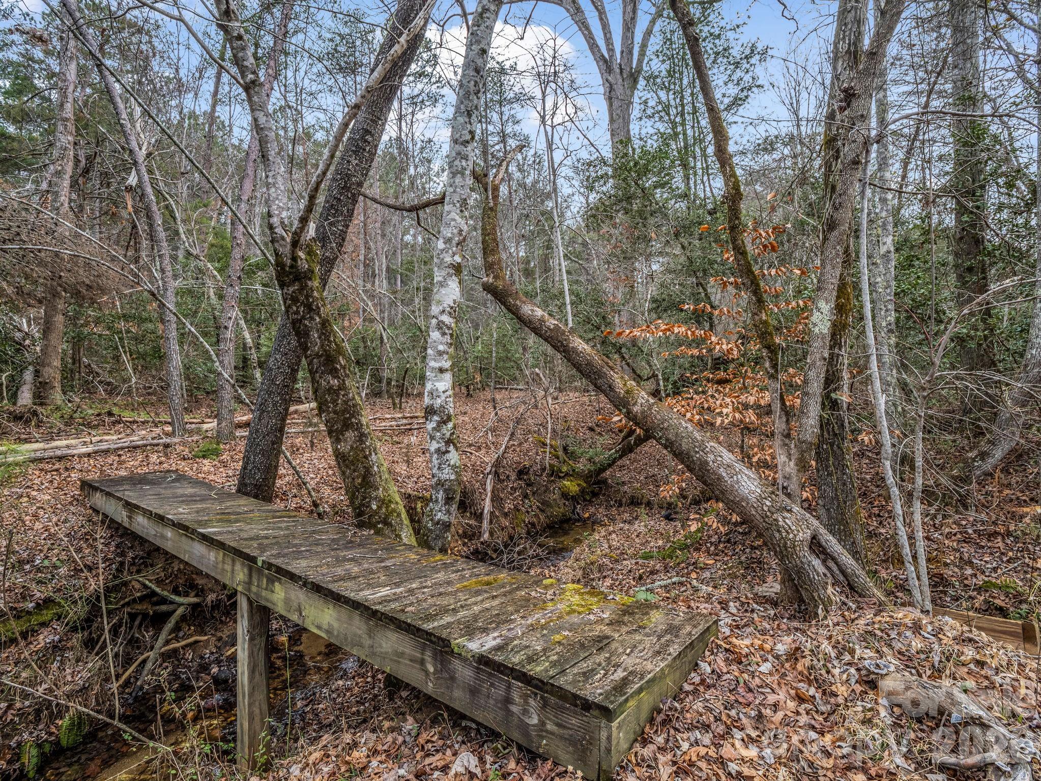 0 River Road Rutherfordton, NC 28139 - Photo 19 of 41 Gallery Image 19