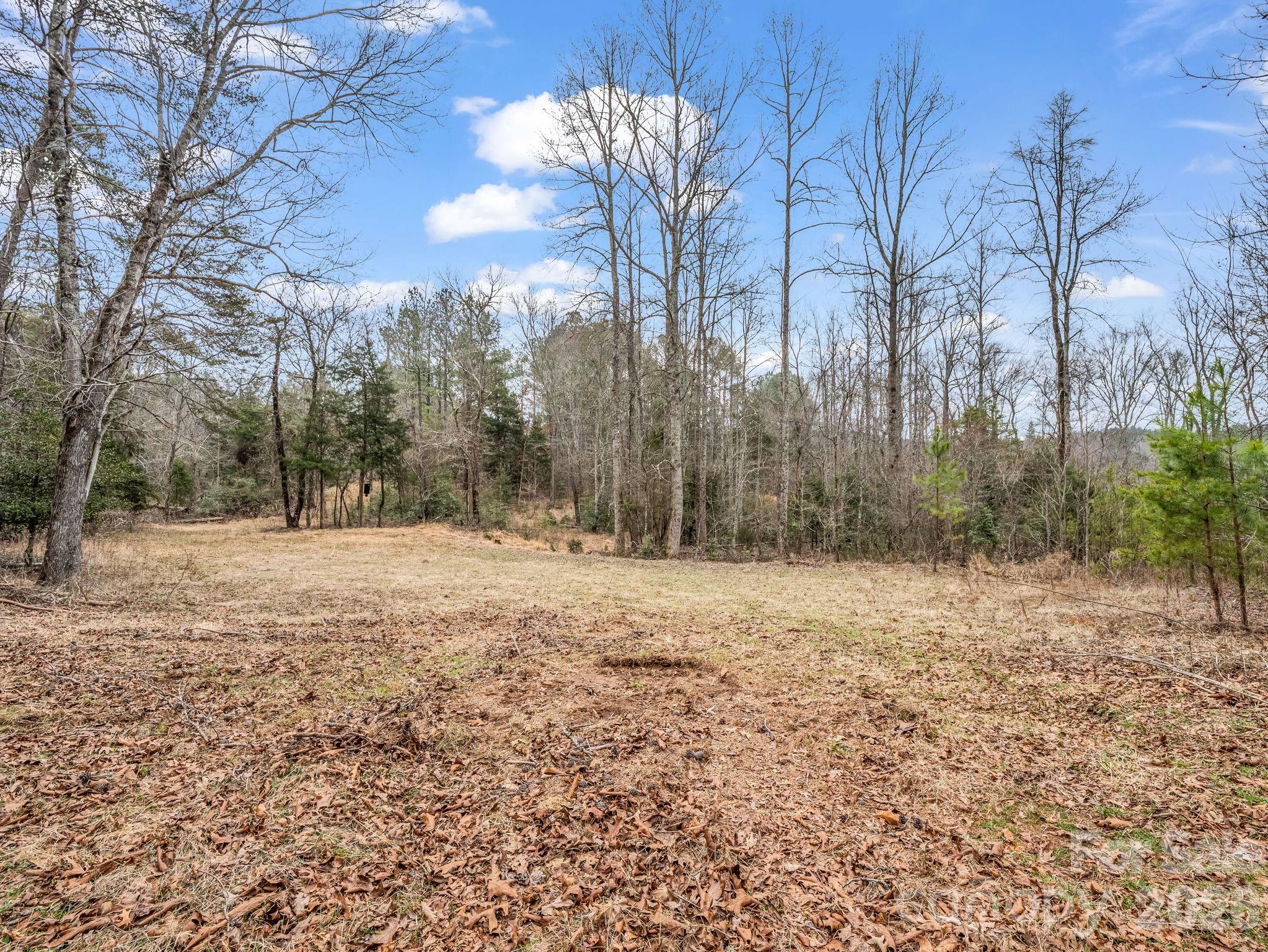0 River Road Rutherfordton, NC 28139 - Photo 21 of 41 Gallery Image 21