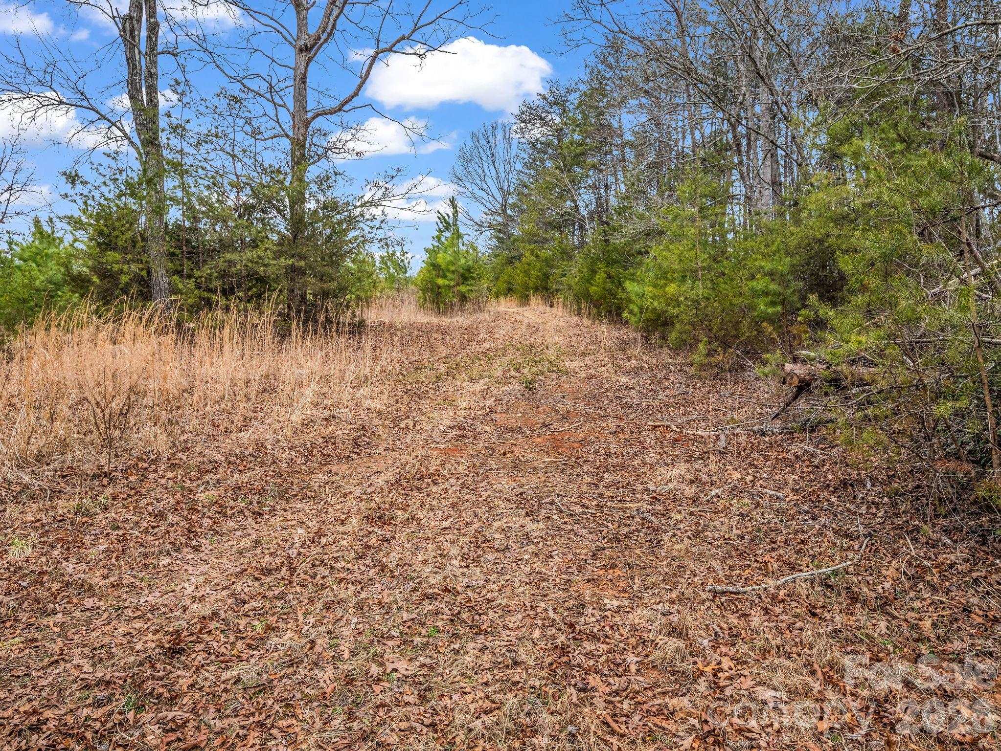 0 River Road Rutherfordton, NC 28139 - Photo 22 of 41 Gallery Image 22