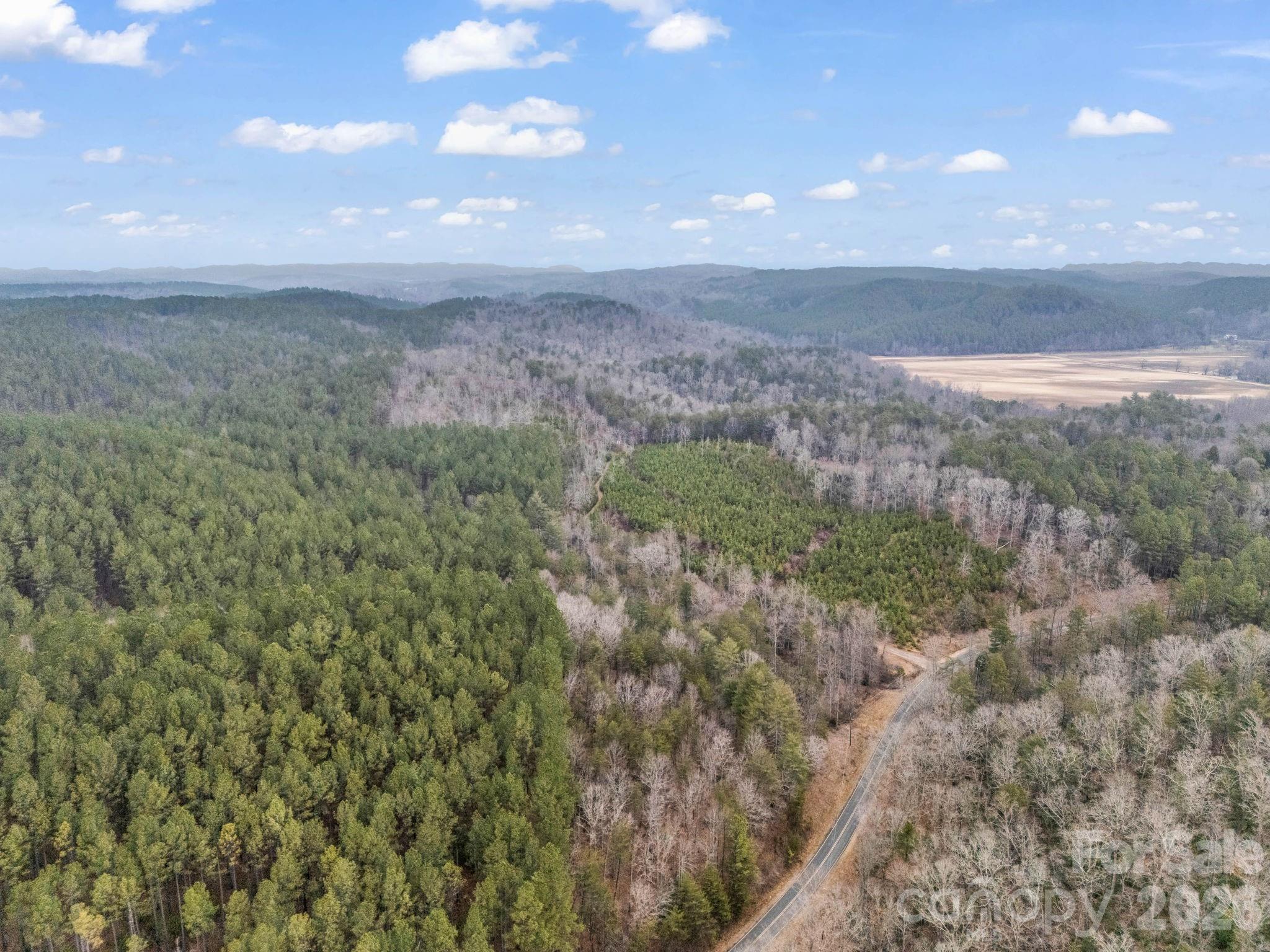 0 River Road Rutherfordton, NC 28139 - Photo 24 of 41 Gallery Image 24