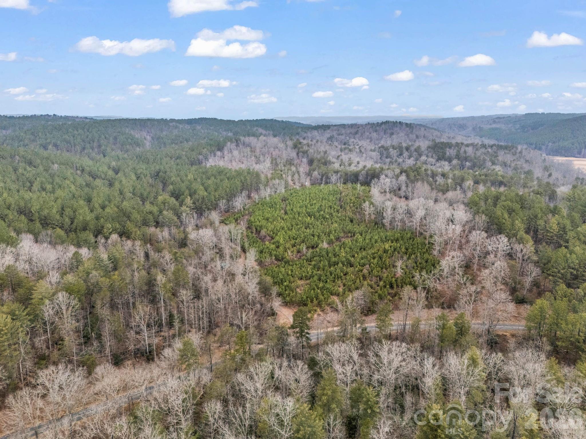 0 River Road Rutherfordton, NC 28139 - Photo 25 of 41 Gallery Image 25