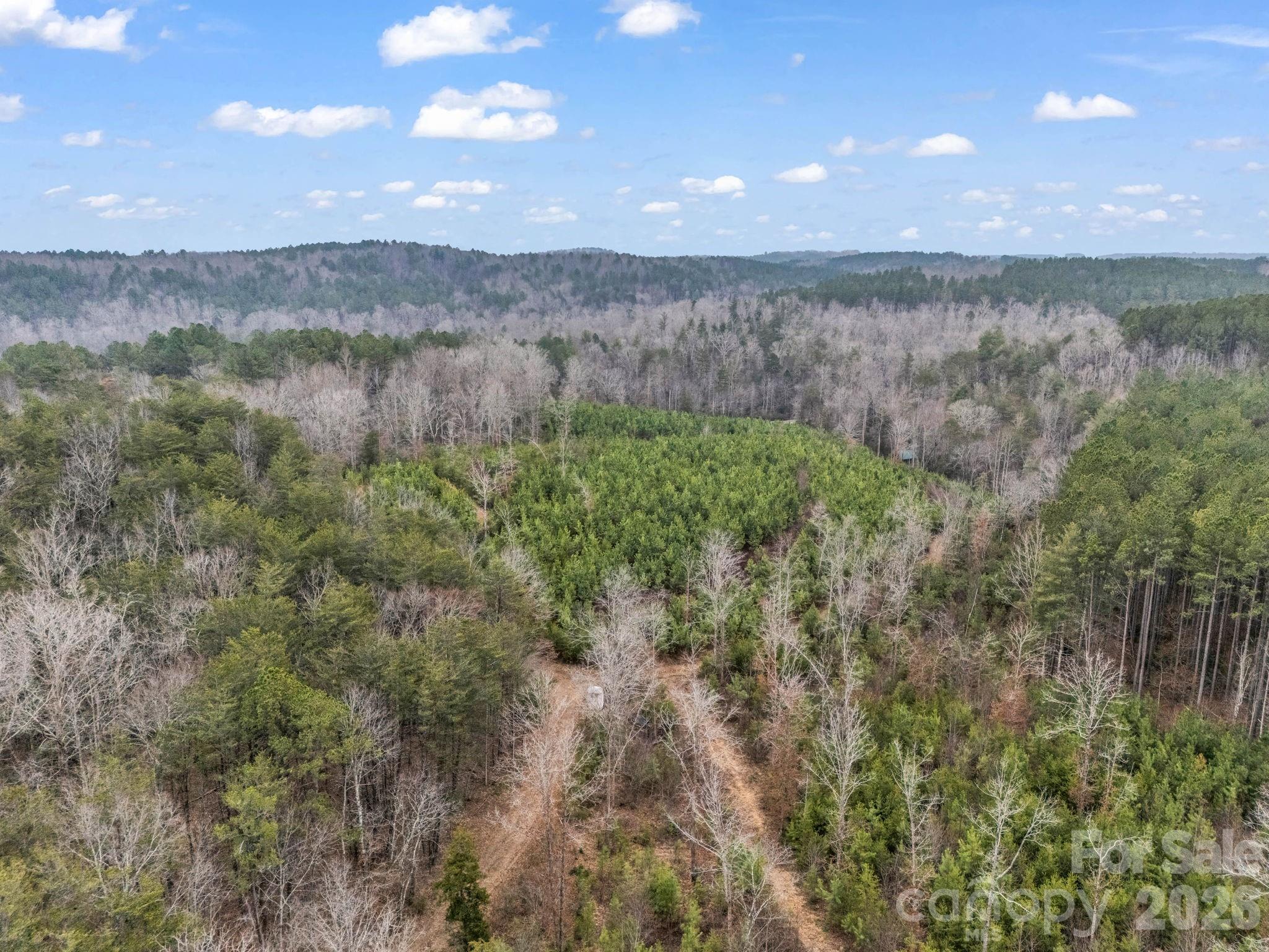 0 River Road Rutherfordton, NC 28139 - Photo 27 of 41 Gallery Image 27
