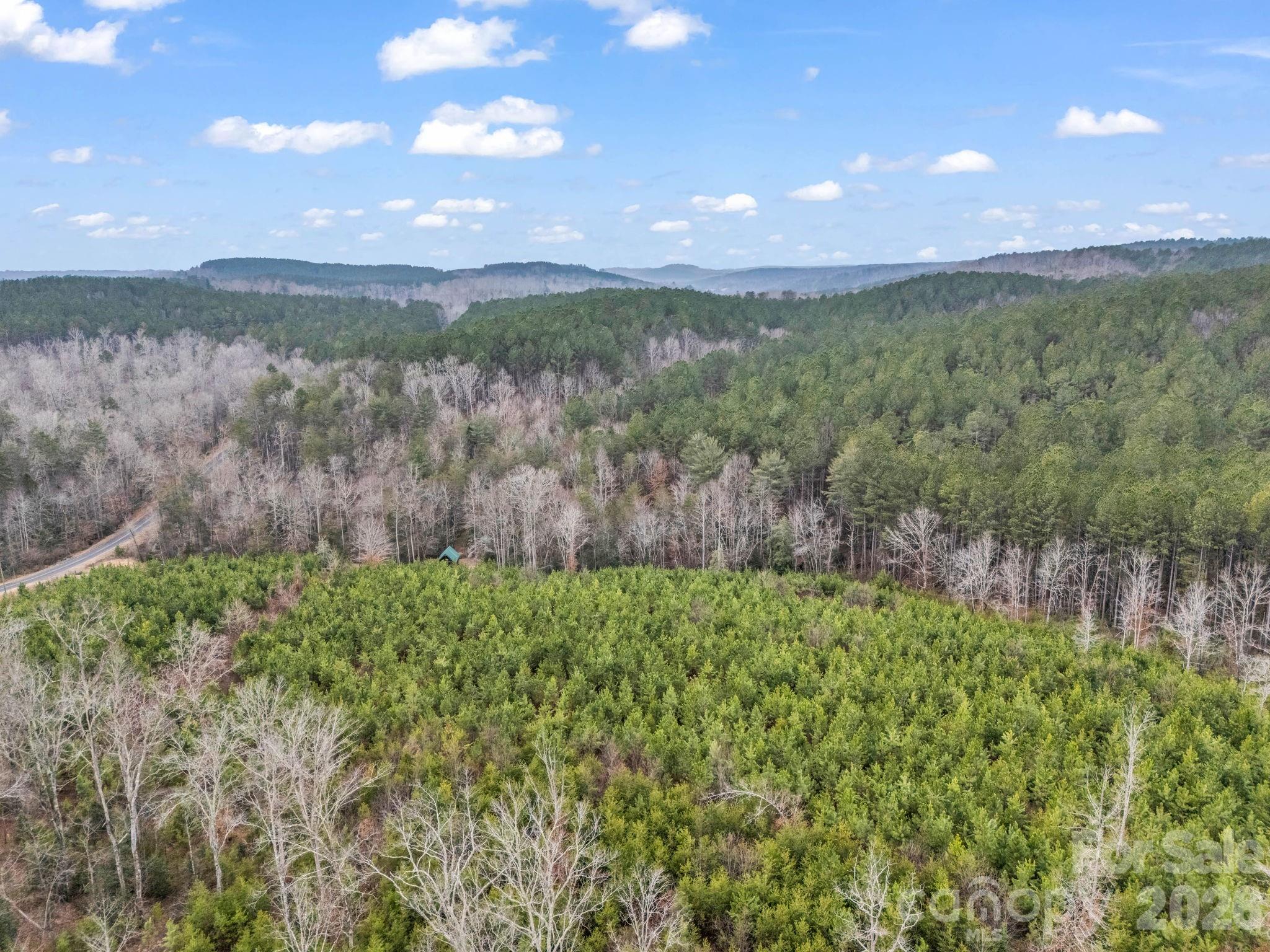0 River Road Rutherfordton, NC 28139 - Photo 28 of 41 Gallery Image 28