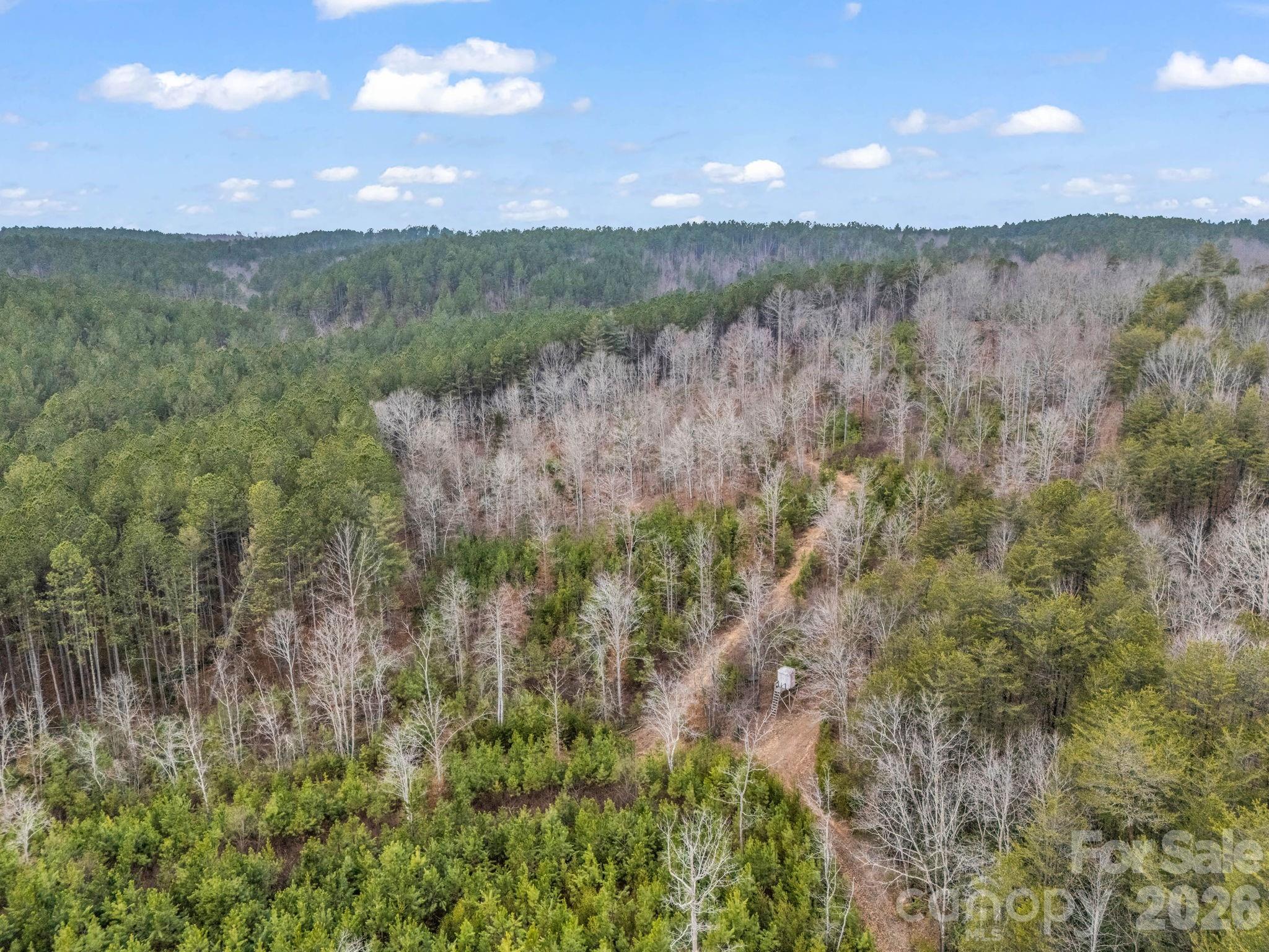 0 River Road Rutherfordton, NC 28139 - Photo 29 of 41 Gallery Image 29
