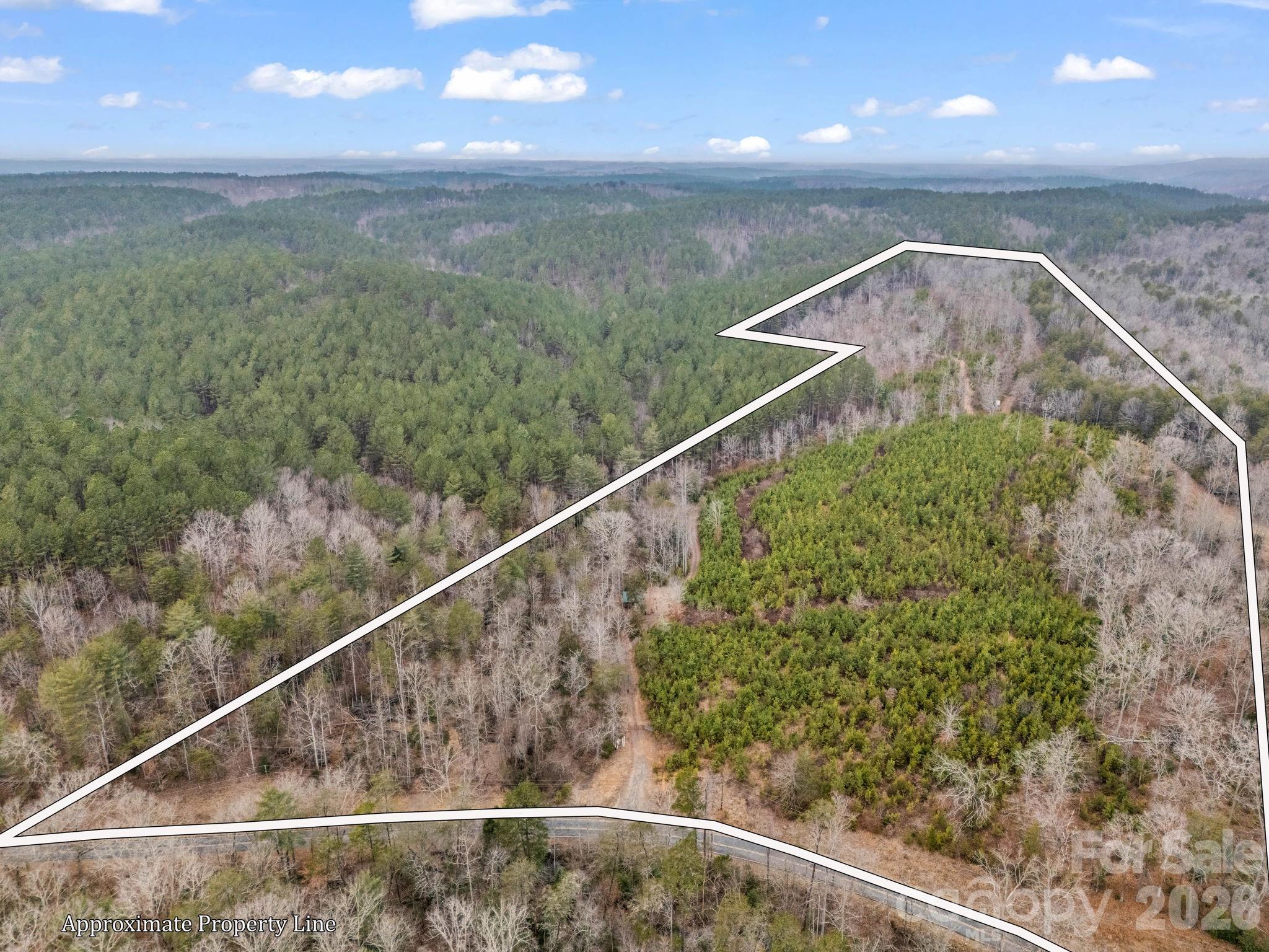 0 River Road Rutherfordton, NC 28139 - Photo 3 of 41 Gallery Image 3