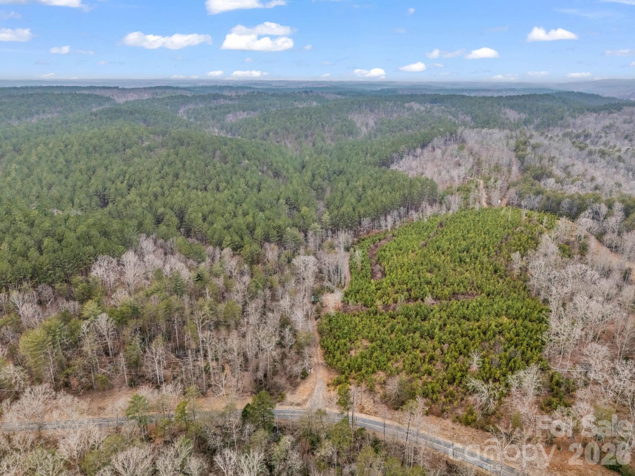 0 River Road Rutherfordton, NC 28139 - Photo 32 of 41 Gallery Image 32