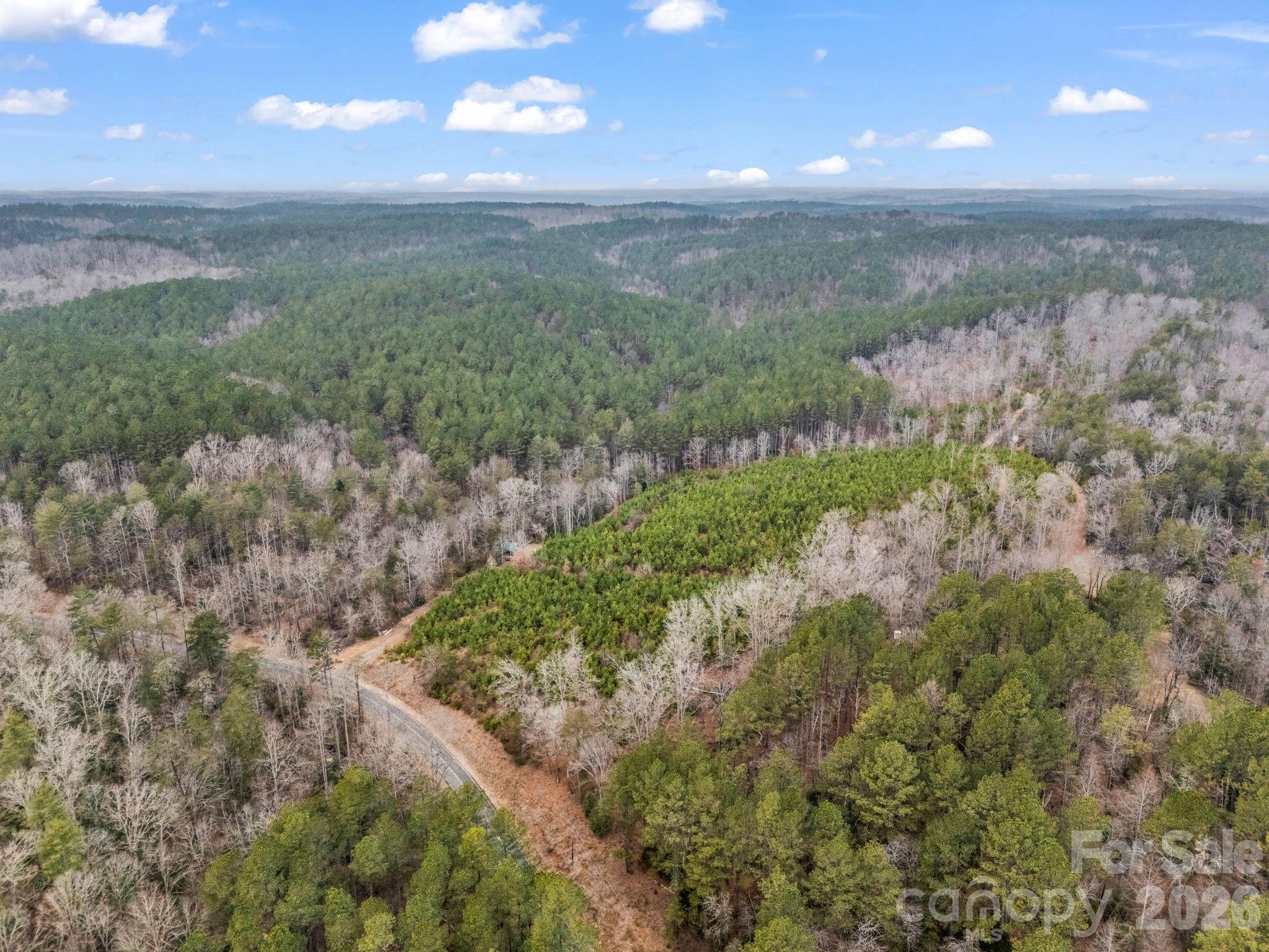 0 River Road Rutherfordton, NC 28139 - Photo 33 of 41 Gallery Image 33