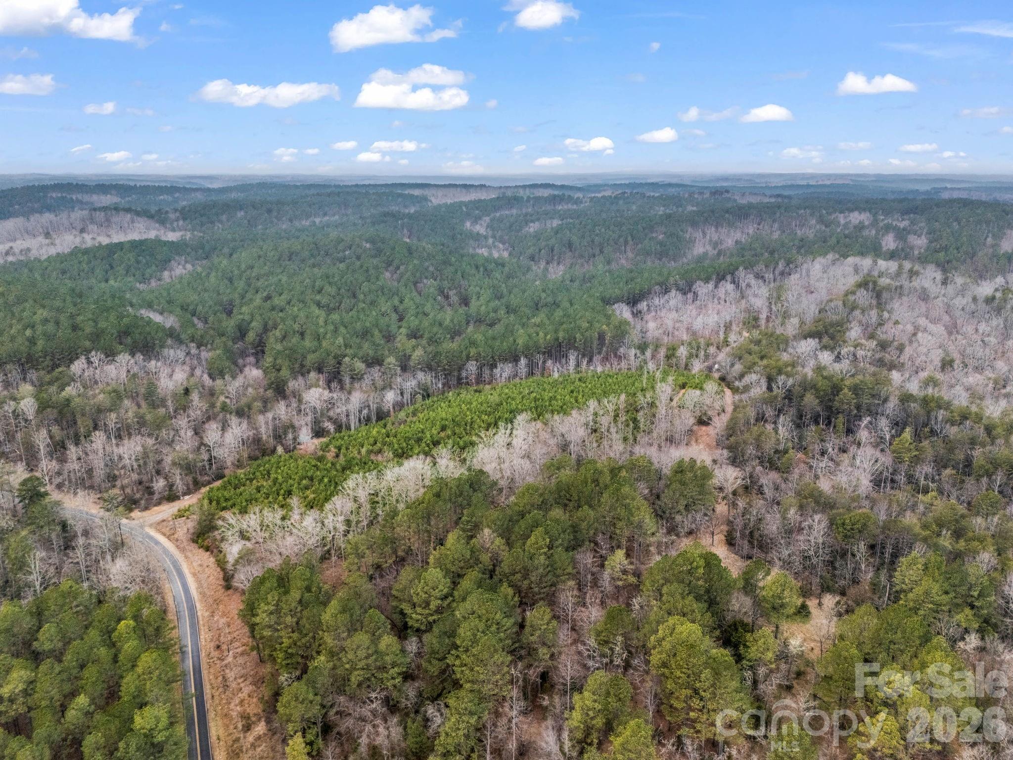 0 River Road Rutherfordton, NC 28139 - Photo 34 of 41 Gallery Image 34