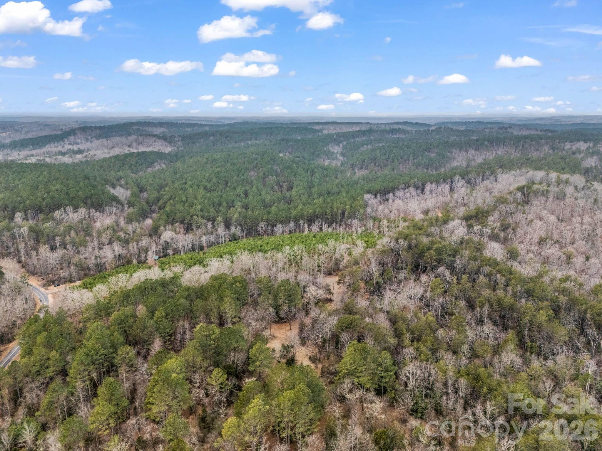 0 River Road Rutherfordton, NC 28139 - Photo 35 of 41 Gallery Image 35