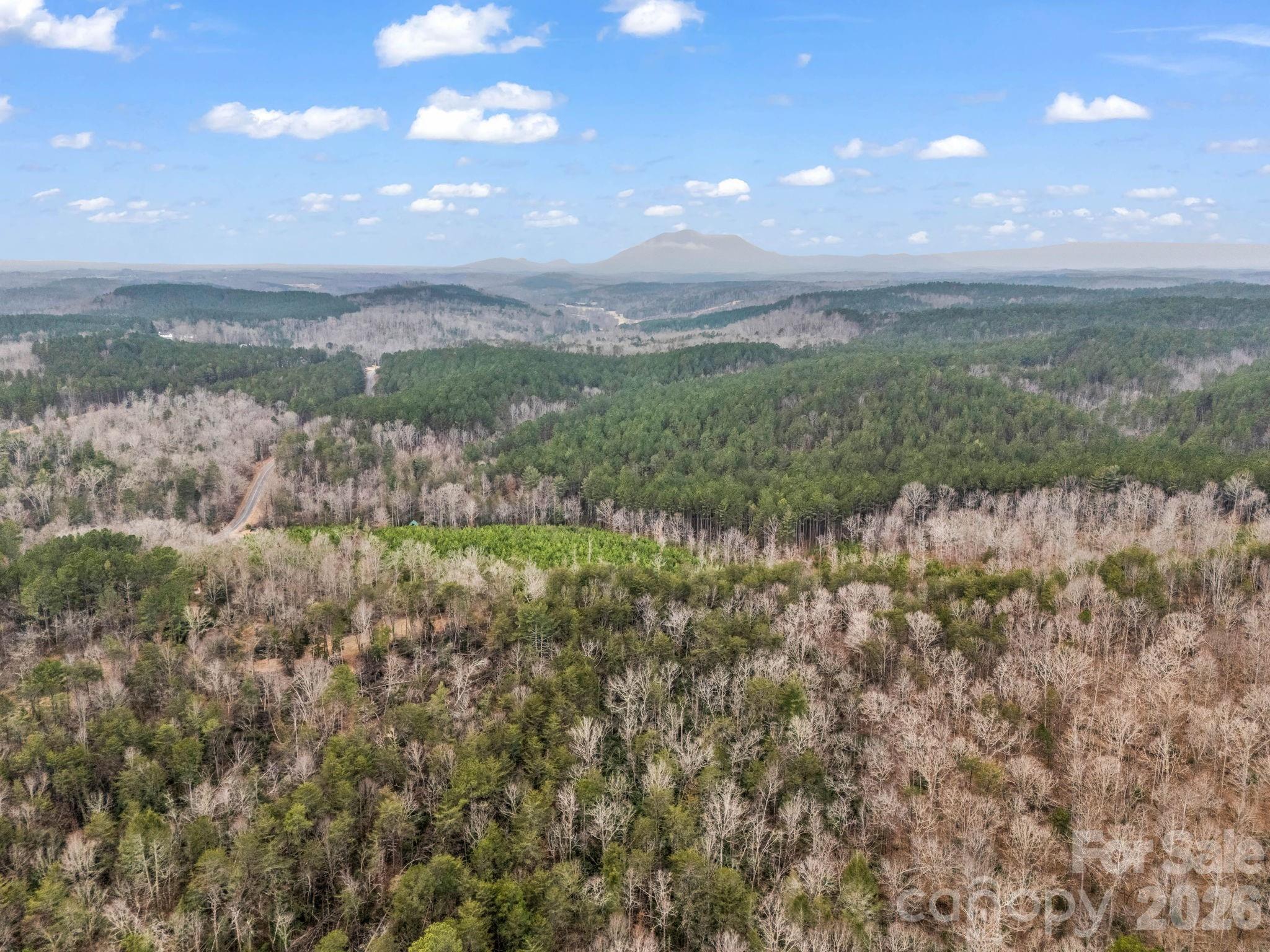 0 River Road Rutherfordton, NC 28139 - Photo 37 of 41 Gallery Image 37