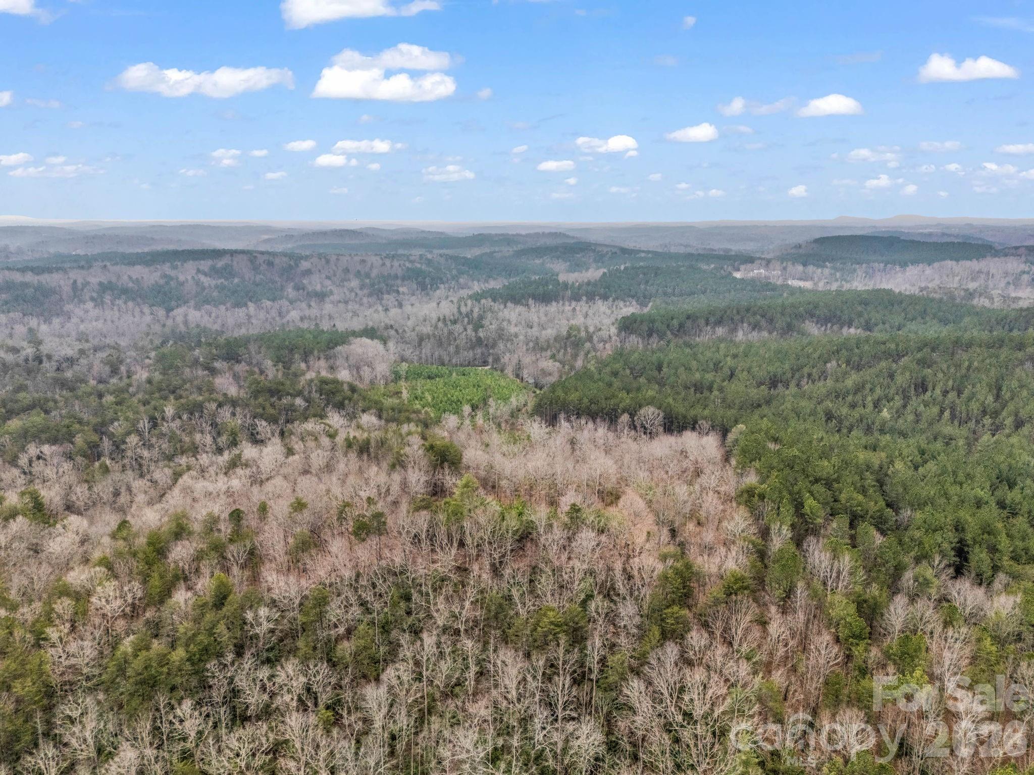 0 River Road Rutherfordton, NC 28139 - Photo 39 of 41 Gallery Image 39