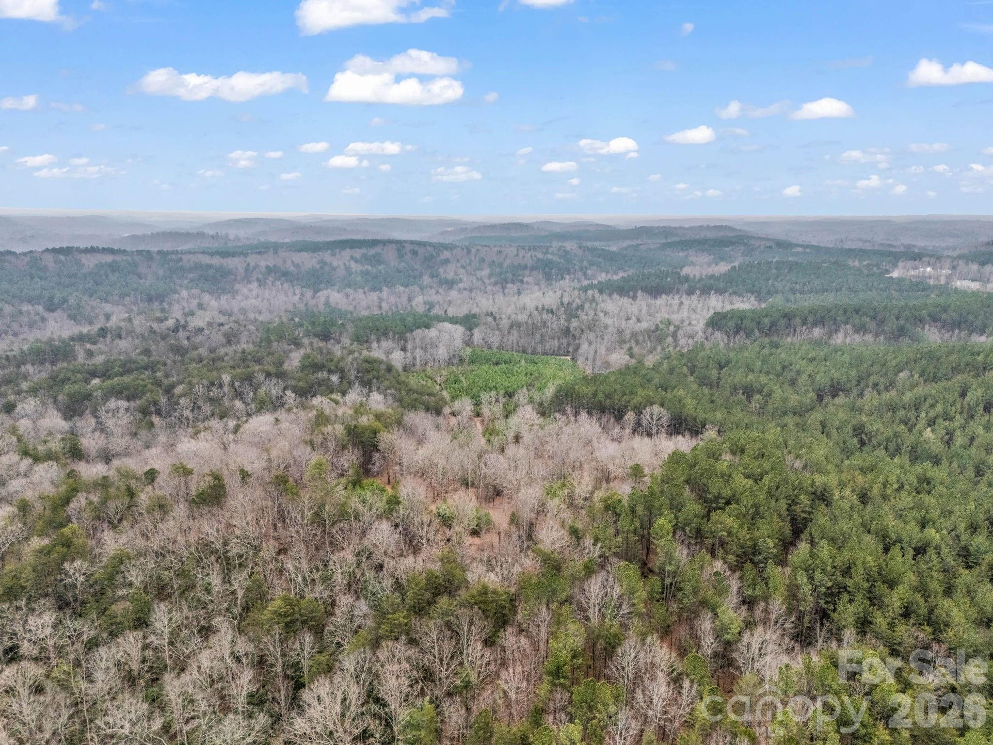 0 River Road Rutherfordton, NC 28139 - Photo 40 of 41 Gallery Image 40