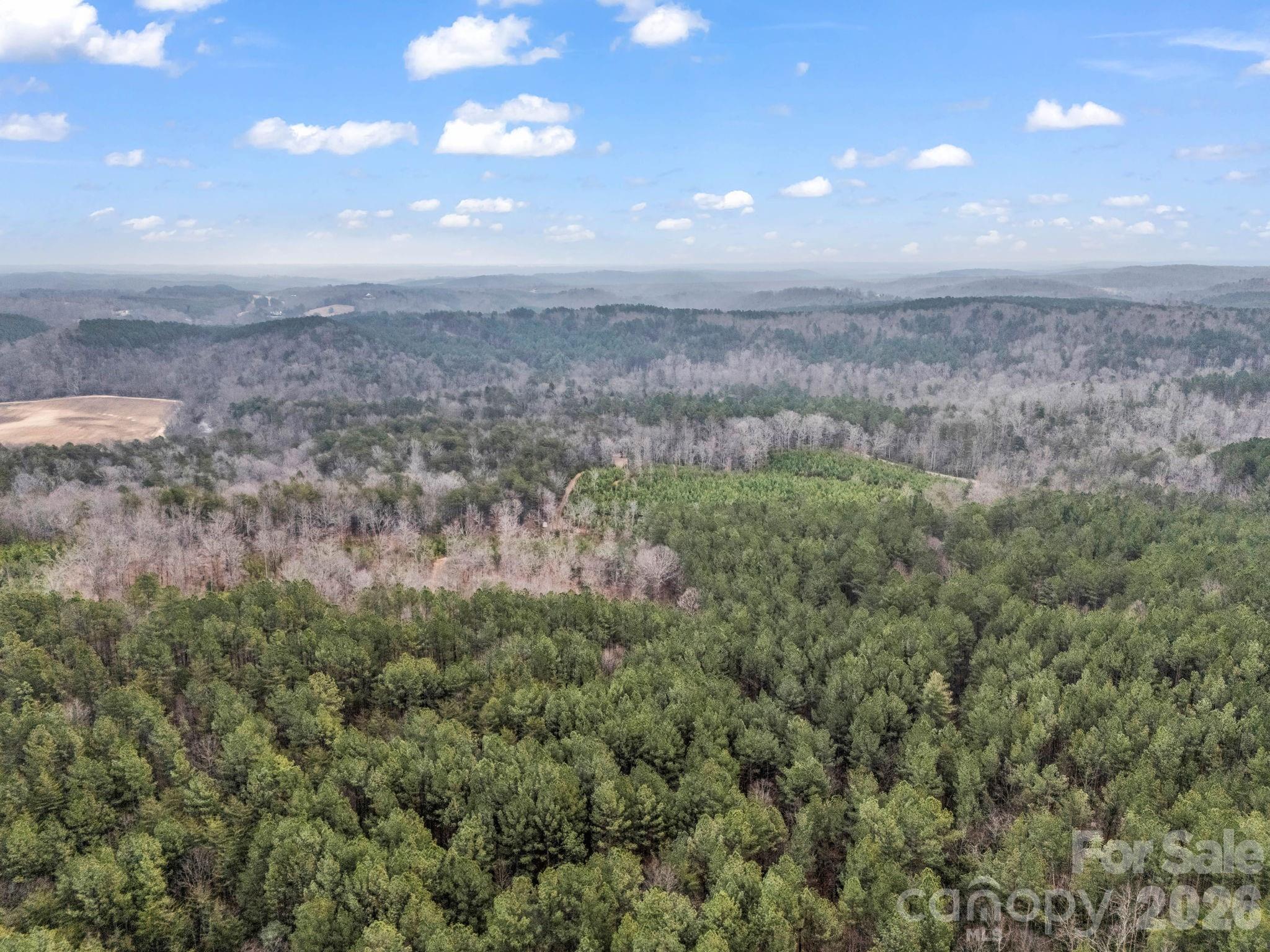 0 River Road Rutherfordton, NC 28139 - Photo 4 of 41 Gallery Image 4