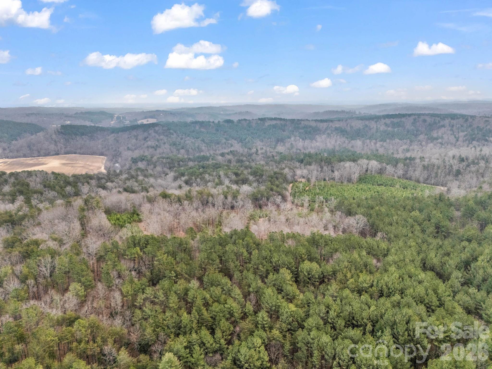 0 River Road Rutherfordton, NC 28139 - Photo 41 of 41 Gallery Image 41
