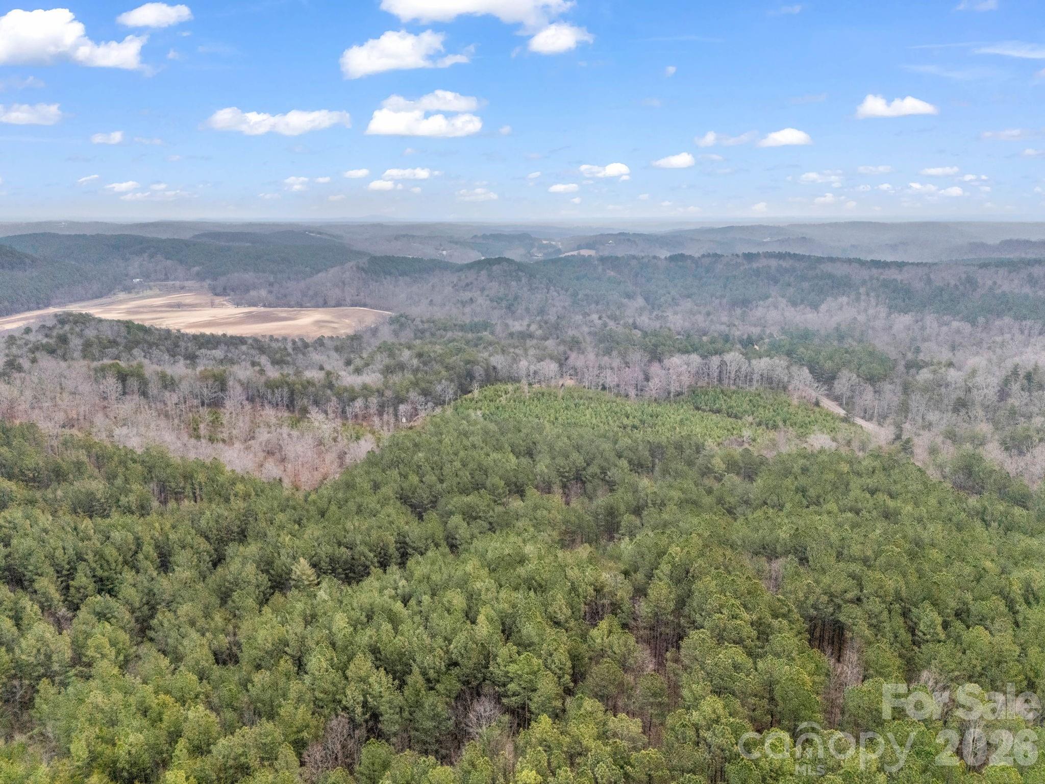 0 River Road Rutherfordton, NC 28139 - Photo 5 of 41 Gallery Image 5