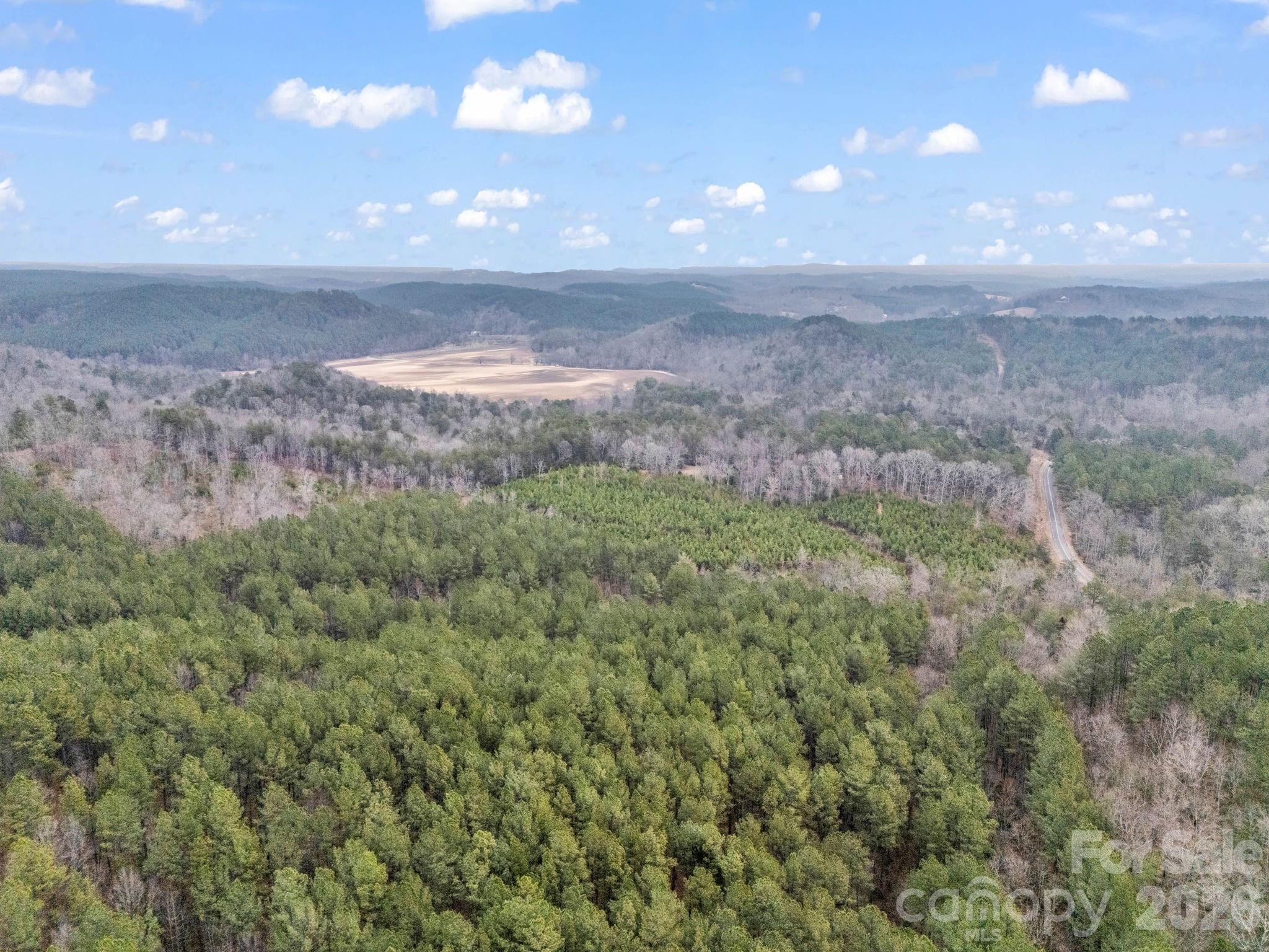 0 River Road Rutherfordton, NC 28139 - Photo 6 of 41 Gallery Image 6