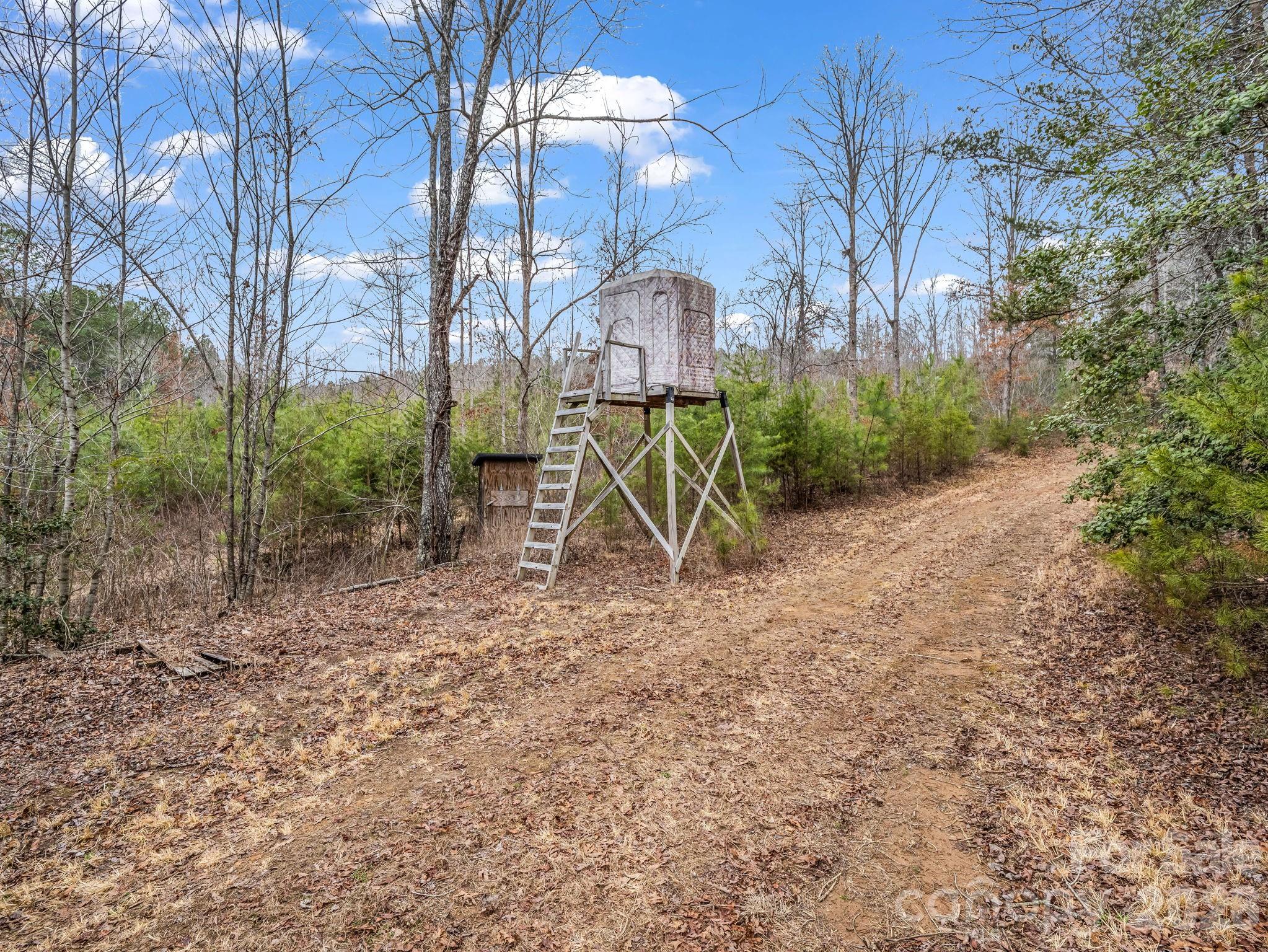 0 River Road Rutherfordton, NC 28139 - Photo 8 of 41 Gallery Image 8