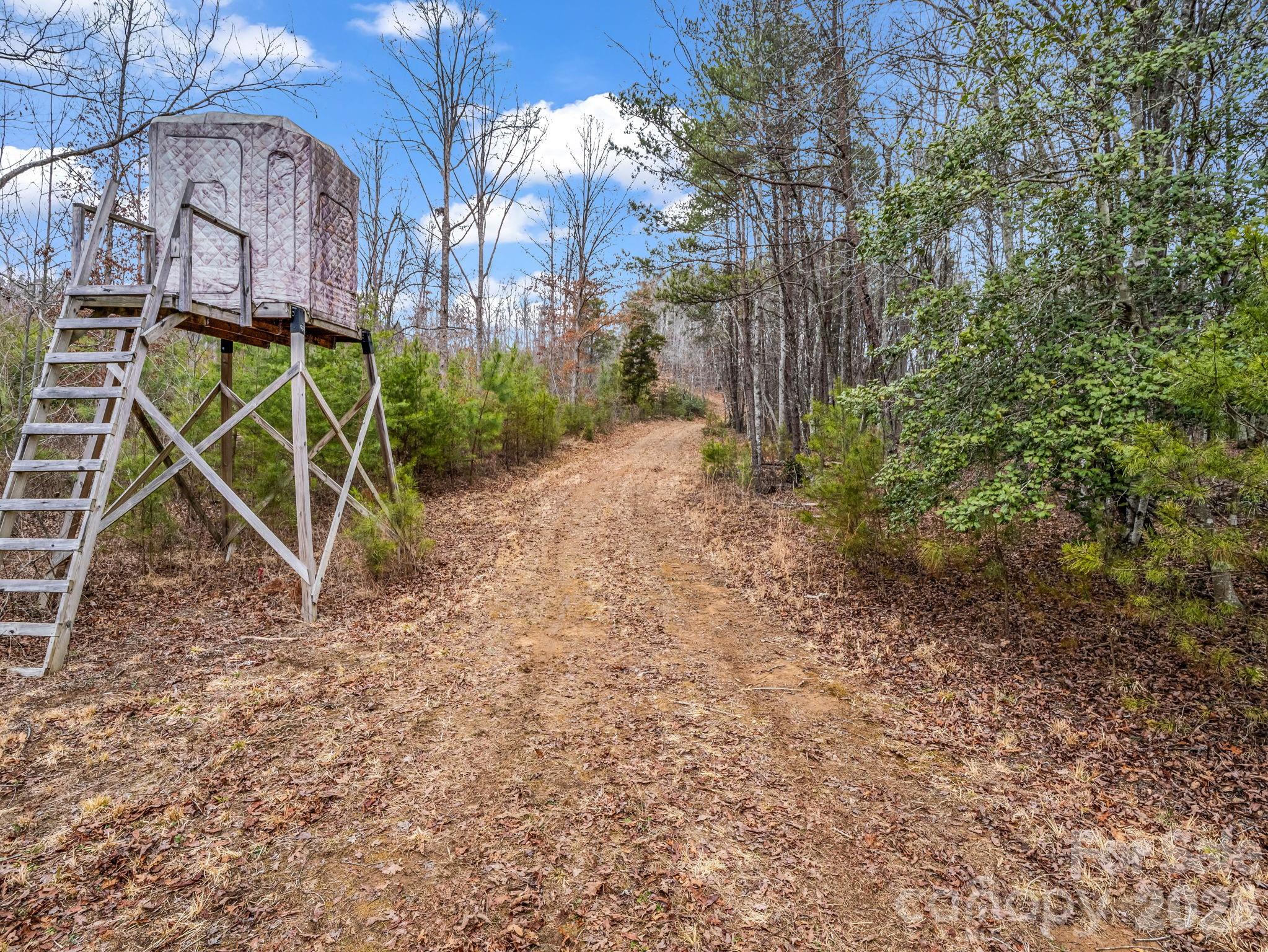 0 River Road Rutherfordton, NC 28139 - Photo 9 of 41 Gallery Image 9