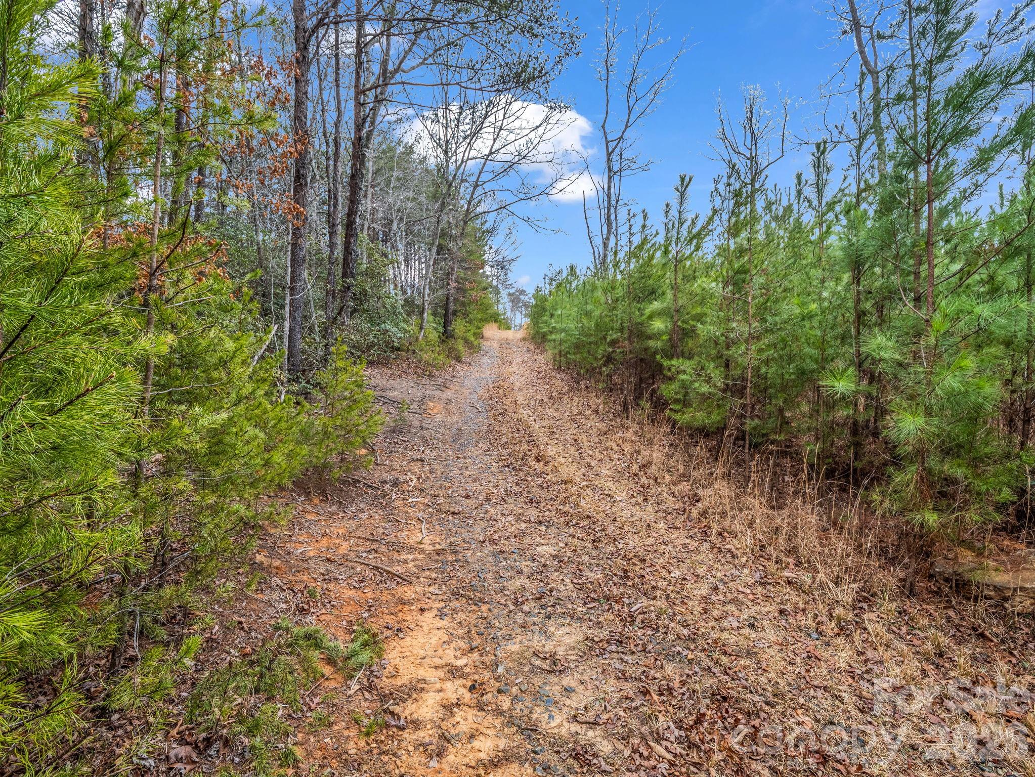 0 River Road Rutherfordton, NC 28139 - Photo 10 of 41 Gallery Image 10