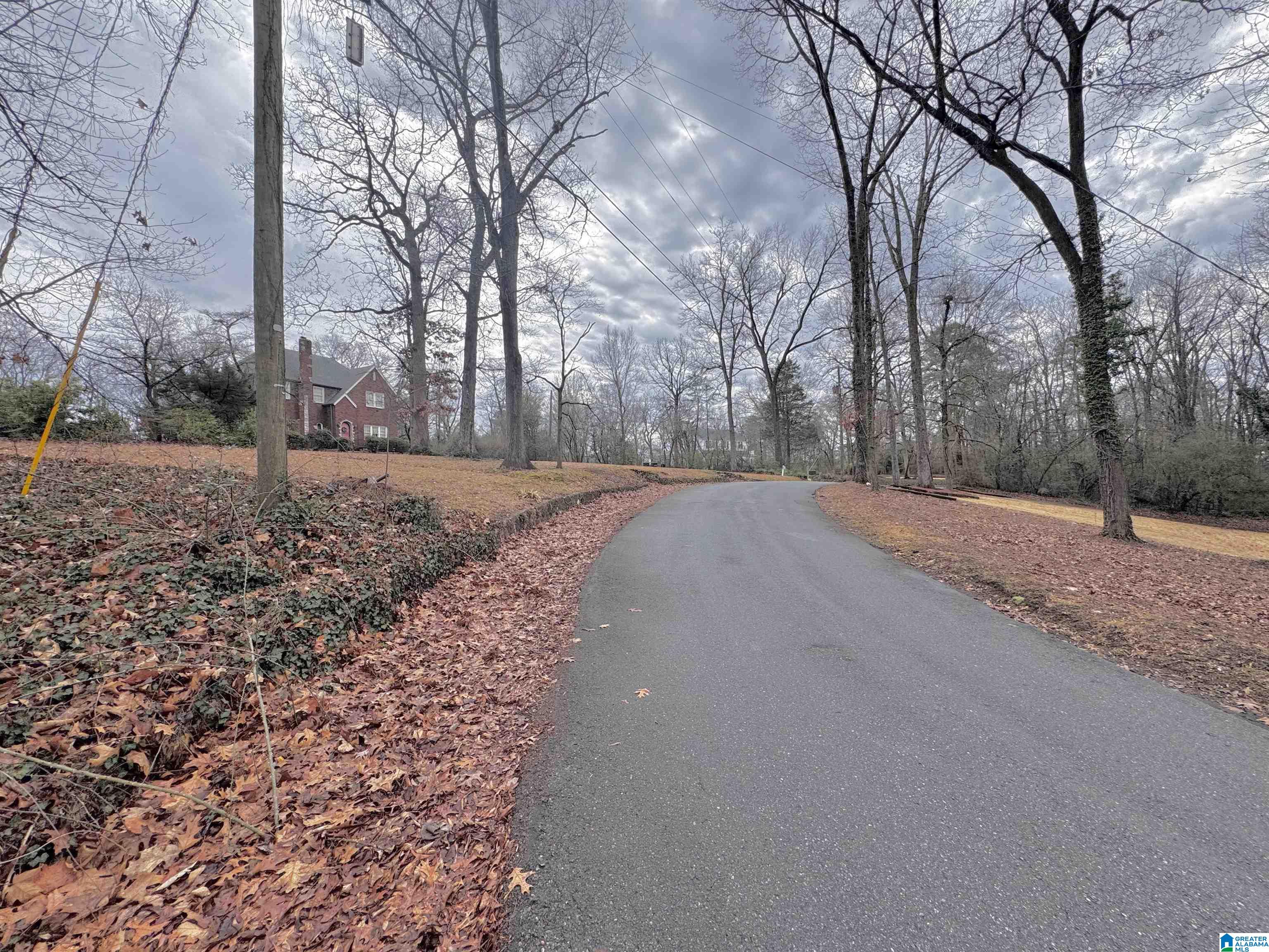 656 Ridge Road Birmingham, AL 35206 - Photo 4 of 7