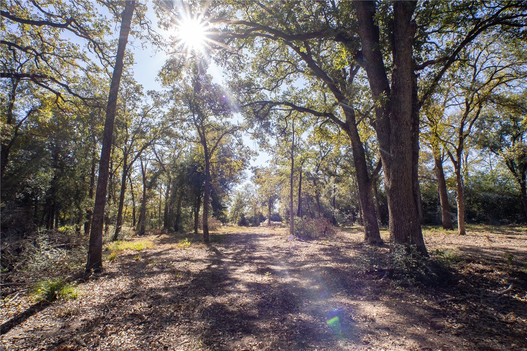 0 Isaiah Estates Bryan, TX 77808 - Photo 11 of 27