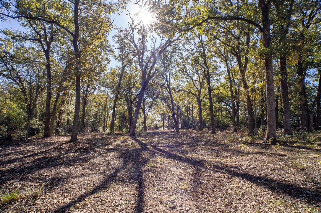 0 Isaiah Estates Bryan, TX 77808 - Photo 13 of 27