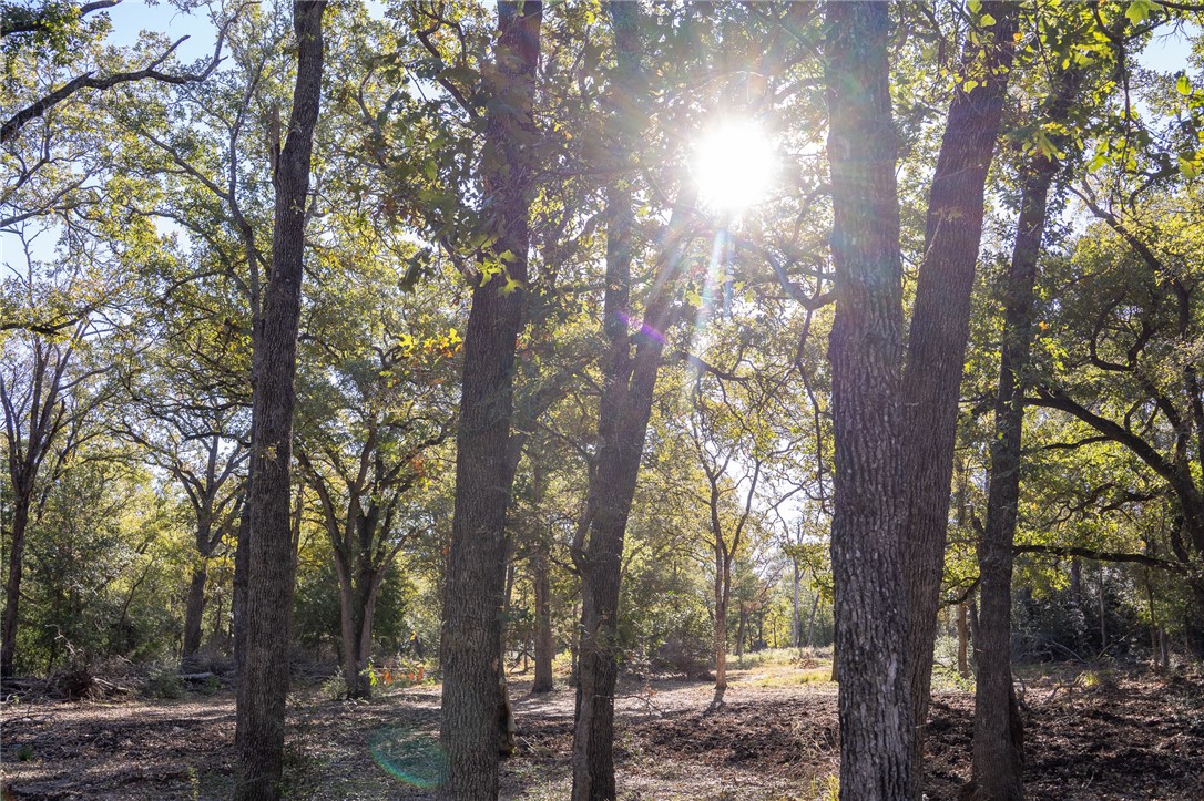 0 Isaiah Estates Bryan, TX 77808 - Photo 14 of 27