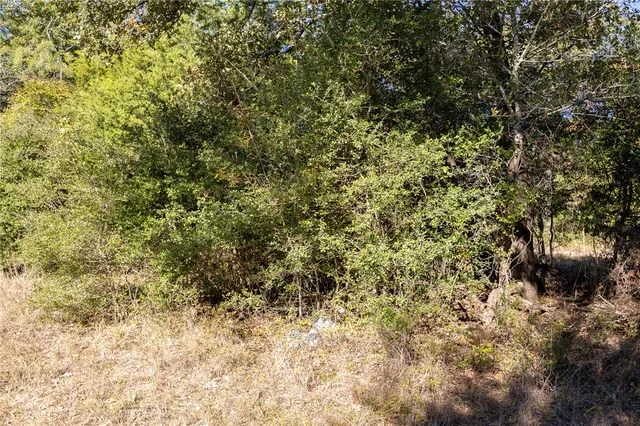 $69,900 | 0 Isaiah Estates, Bryan, TX 77808