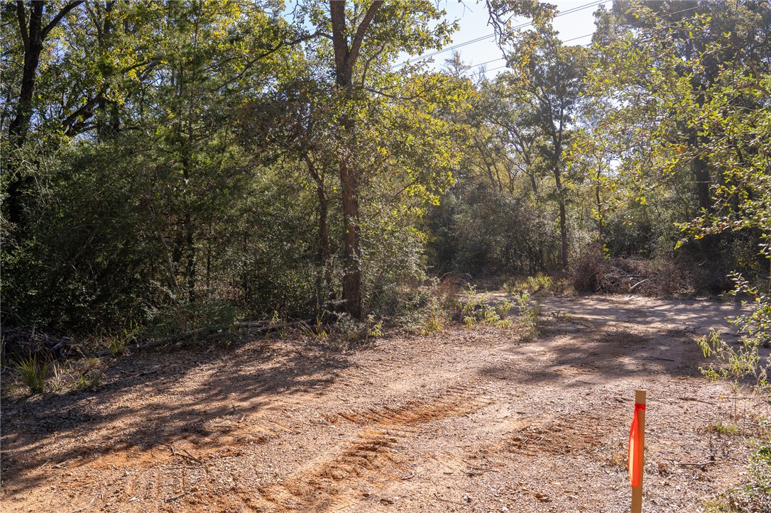 0 Isaiah Estates Bryan, TX 77808 - Photo 21 of 27