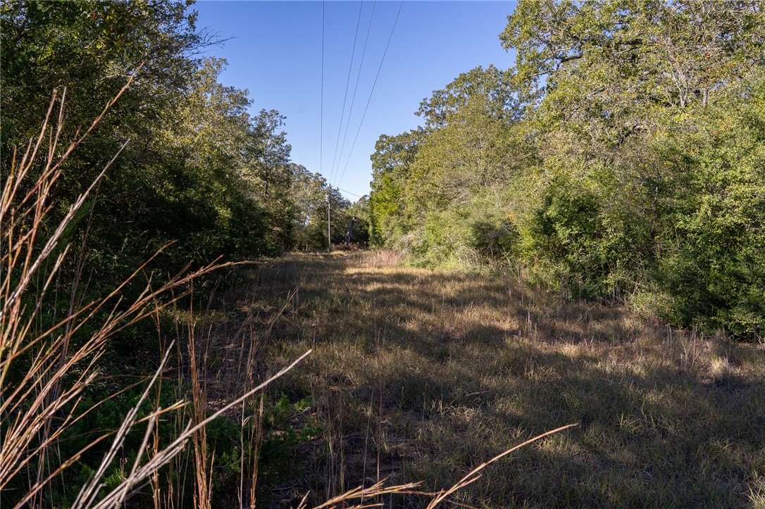 0 Isaiah Estates Bryan, TX 77808 - Photo 25 of 27