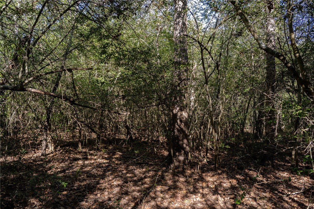 0 Isaiah Estates Bryan, TX 77808 - Photo 4 of 27