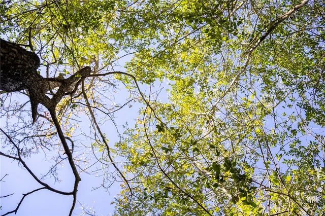 $69,900 | 0 Isaiah Estates, Bryan, TX 77808