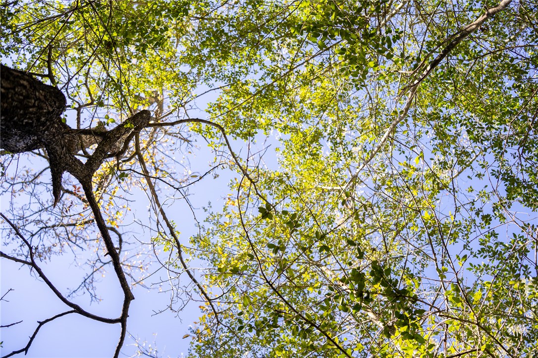 0 Isaiah Estates Bryan, TX 77808 - Photo 7 of 27