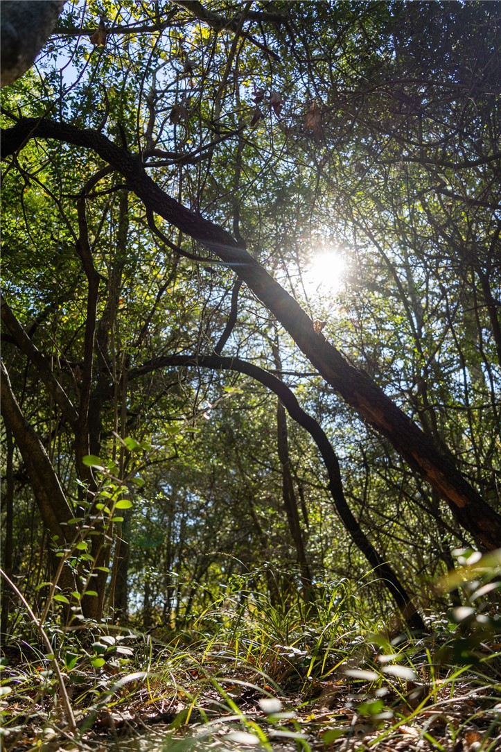 0 Isaiah Estates Bryan, TX 77808 - Photo 8 of 27