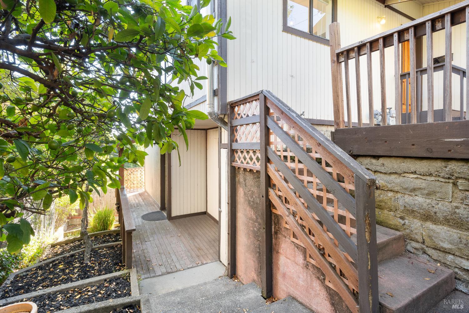 171 Glen Park Avenue San Rafael, CA 94901 - Photo 24 of 27 a view of staircase with large tree
