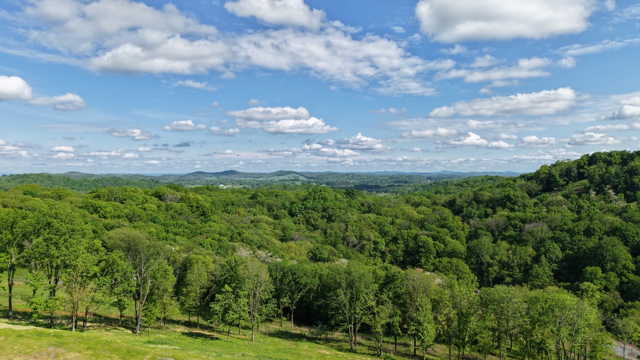 0 Burke Hollow Road Nolensville, TN 37135 - Photo 3 of 18 a view of a big yard with lots of green space