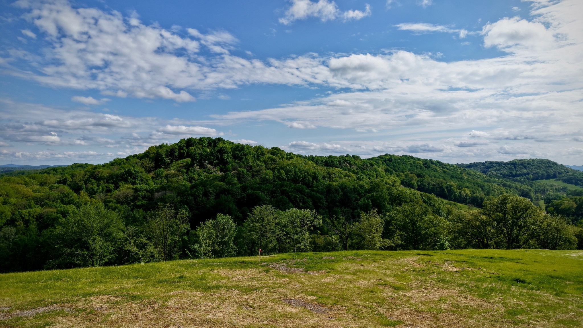 0 Burke Hollow Road Nolensville, TN 37135 - Photo 4 of 18 a view of a grassy field with an trees