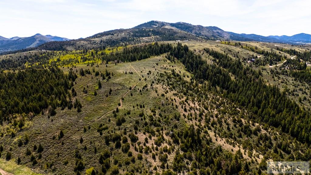 Tbd Fish Creek Road Lava Hot Springs, ID 83246 - Photo 4 of 22
