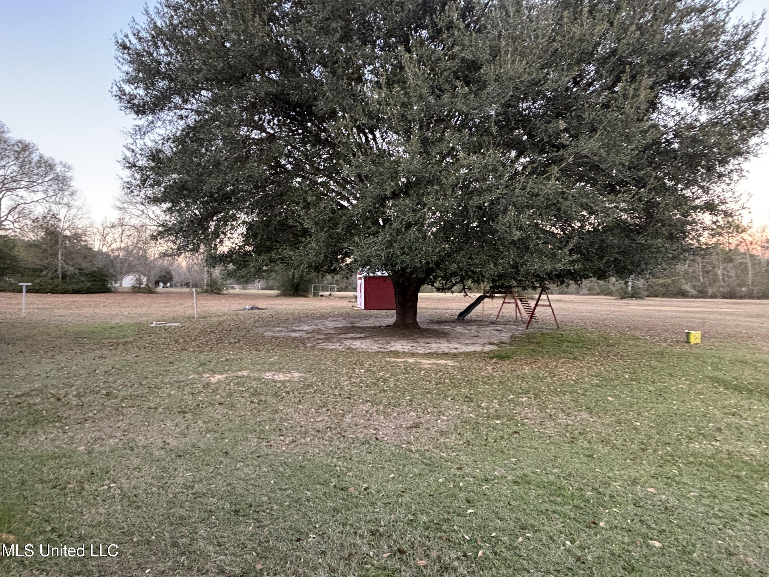 1352 Rock Ranch Road Carriere, MS 39426 - Photo 32 of 33 IMG_5913