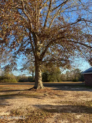 $289,000 | 1352 Rock Ranch Road, Carriere, MS 39426