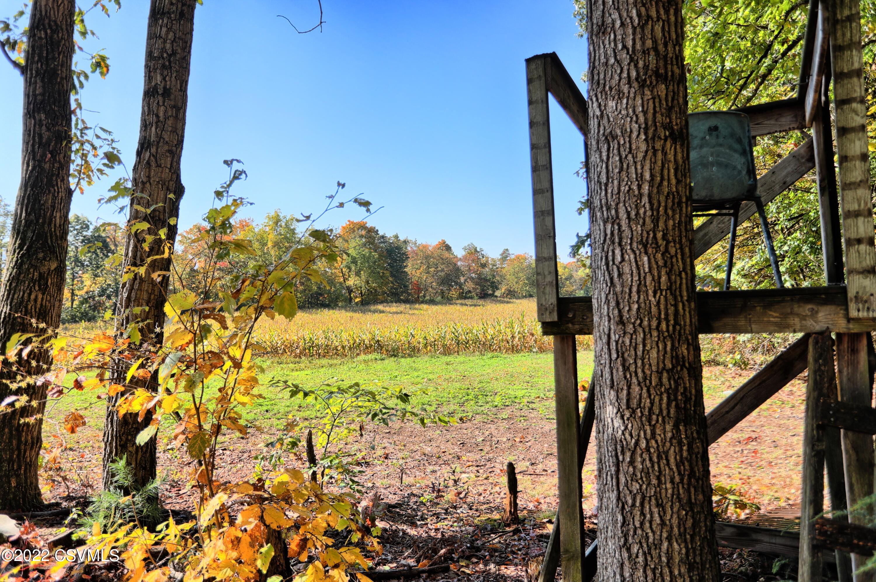 6773 Old Stage Road McClure, PA 17841 - Photo 5 of 49