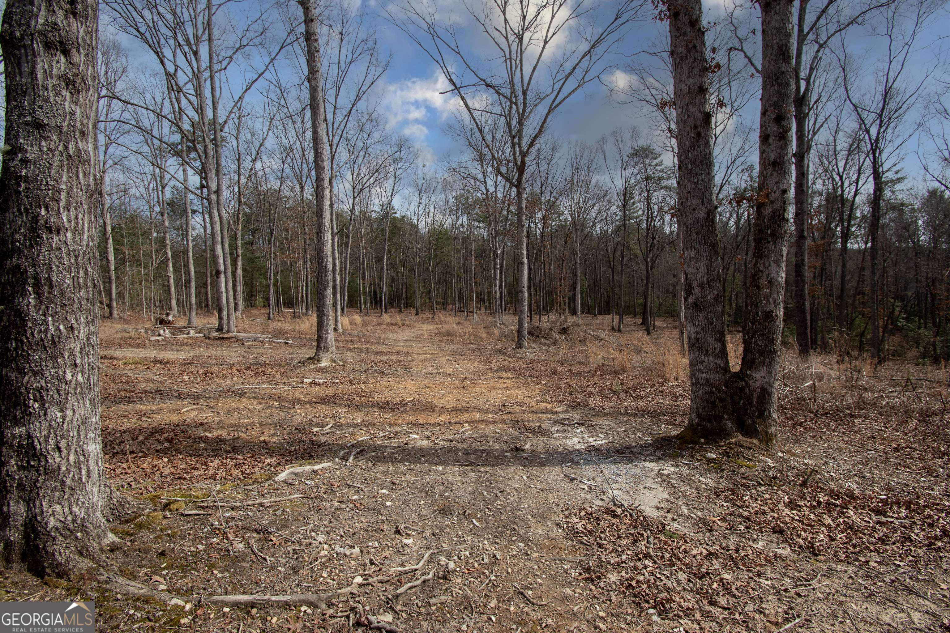 329 Marrestop Road Murphy, NC 28906 - Photo 2 of 9