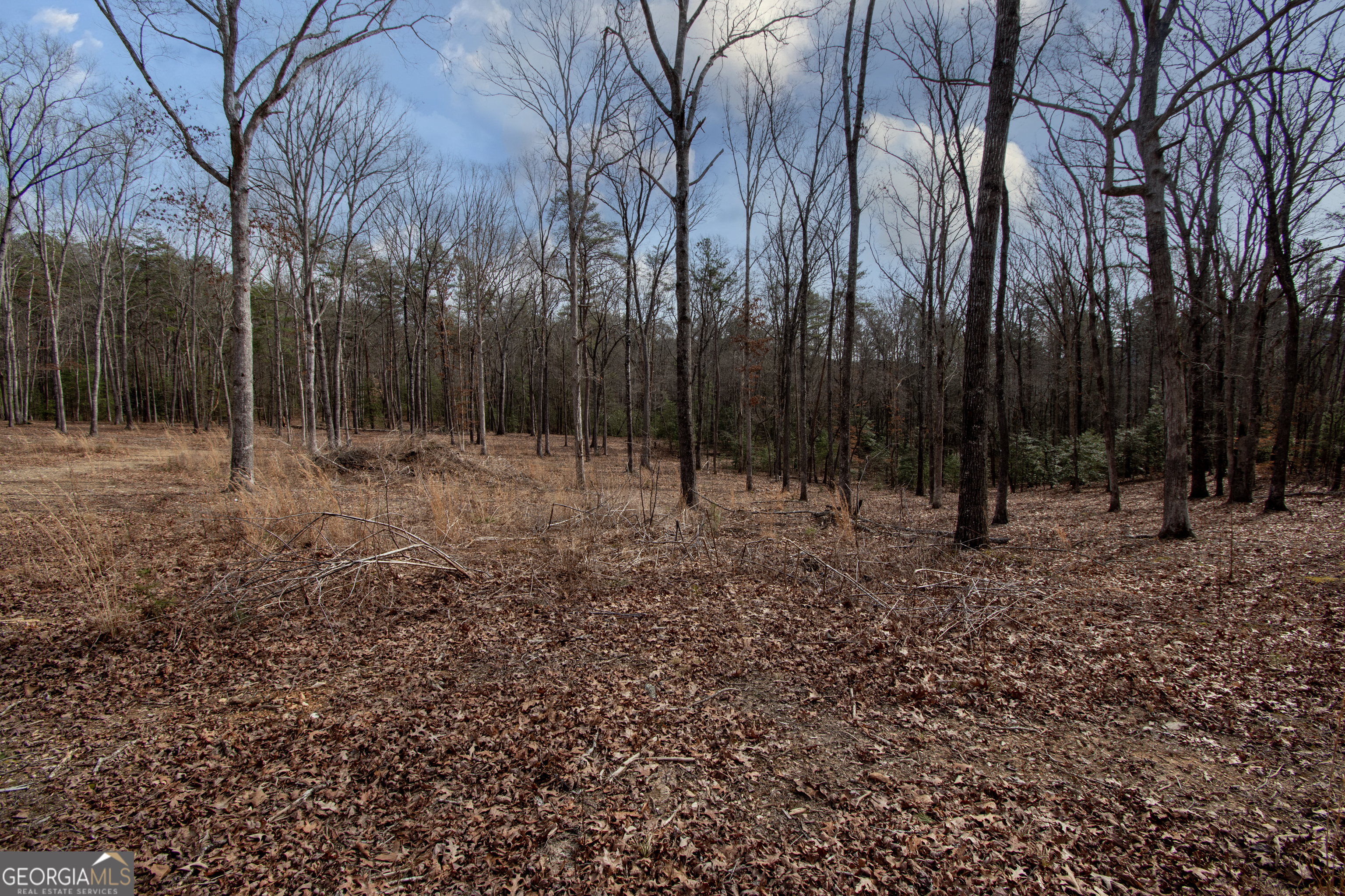 329 Marrestop Road Murphy, NC 28906 - Photo 3 of 9