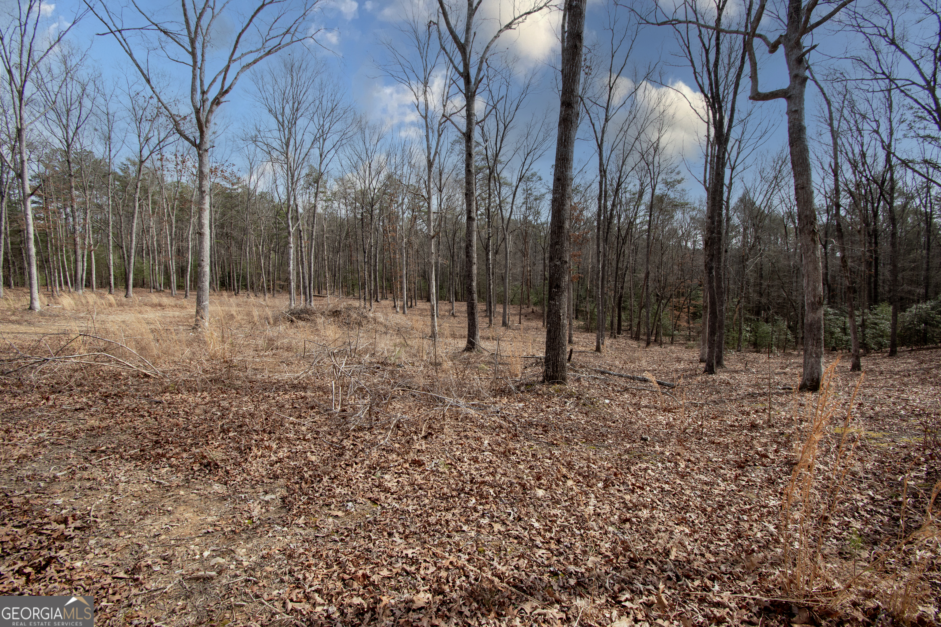 329 Marrestop Road Murphy, NC 28906 - Photo 4 of 9