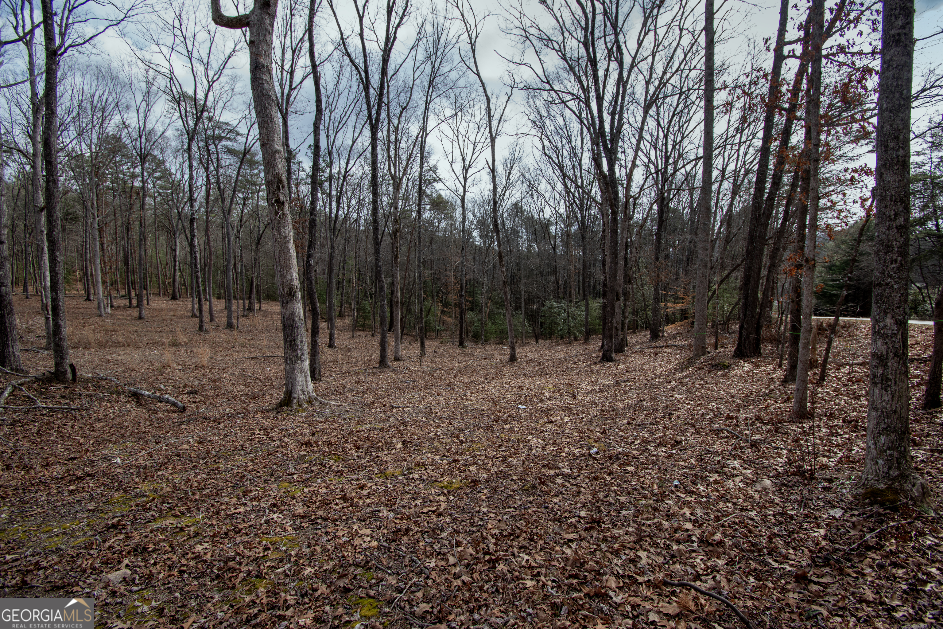 329 Marrestop Road Murphy, NC 28906 - Photo 5 of 9