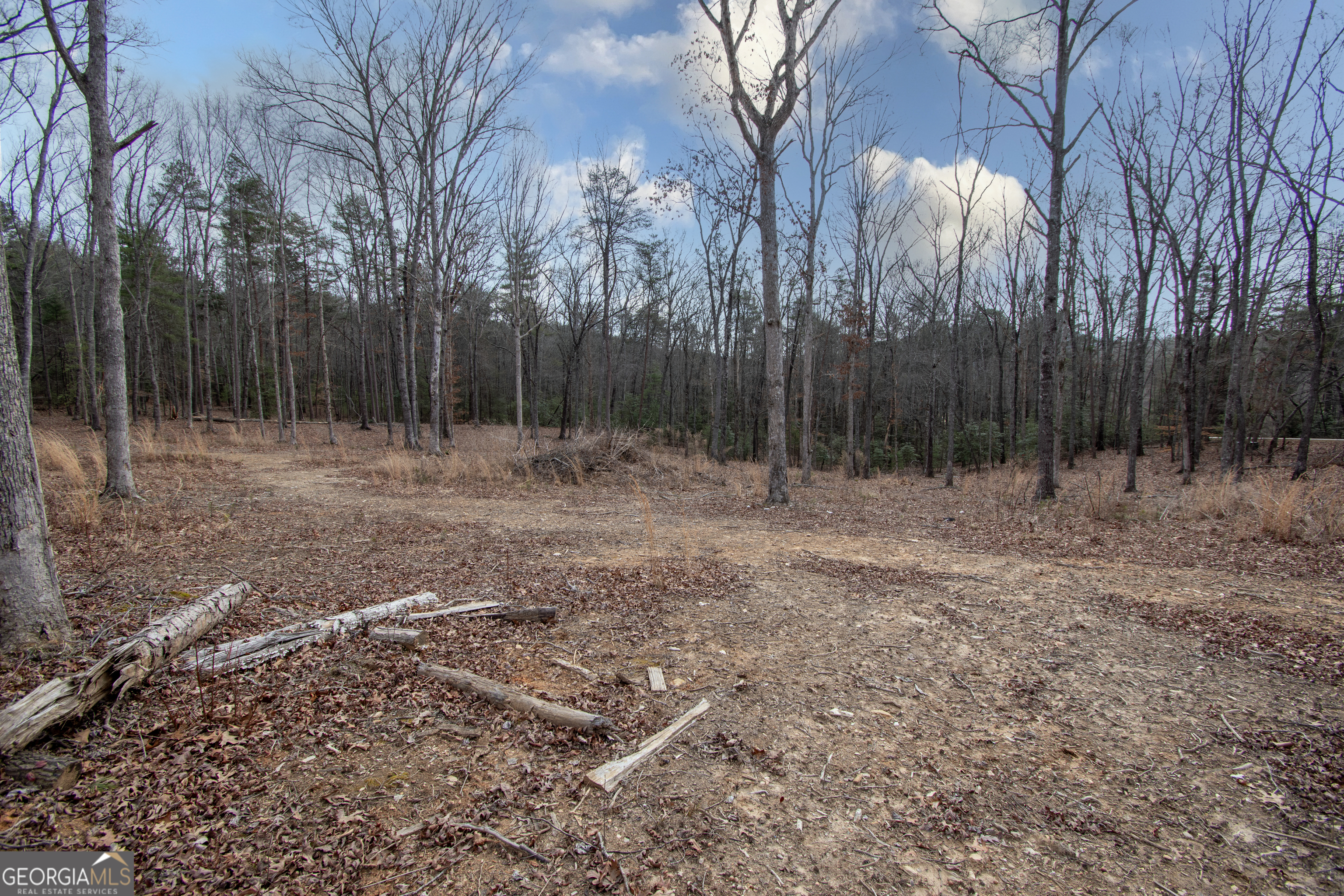 329 Marrestop Road Murphy, NC 28906 - Photo 9 of 9