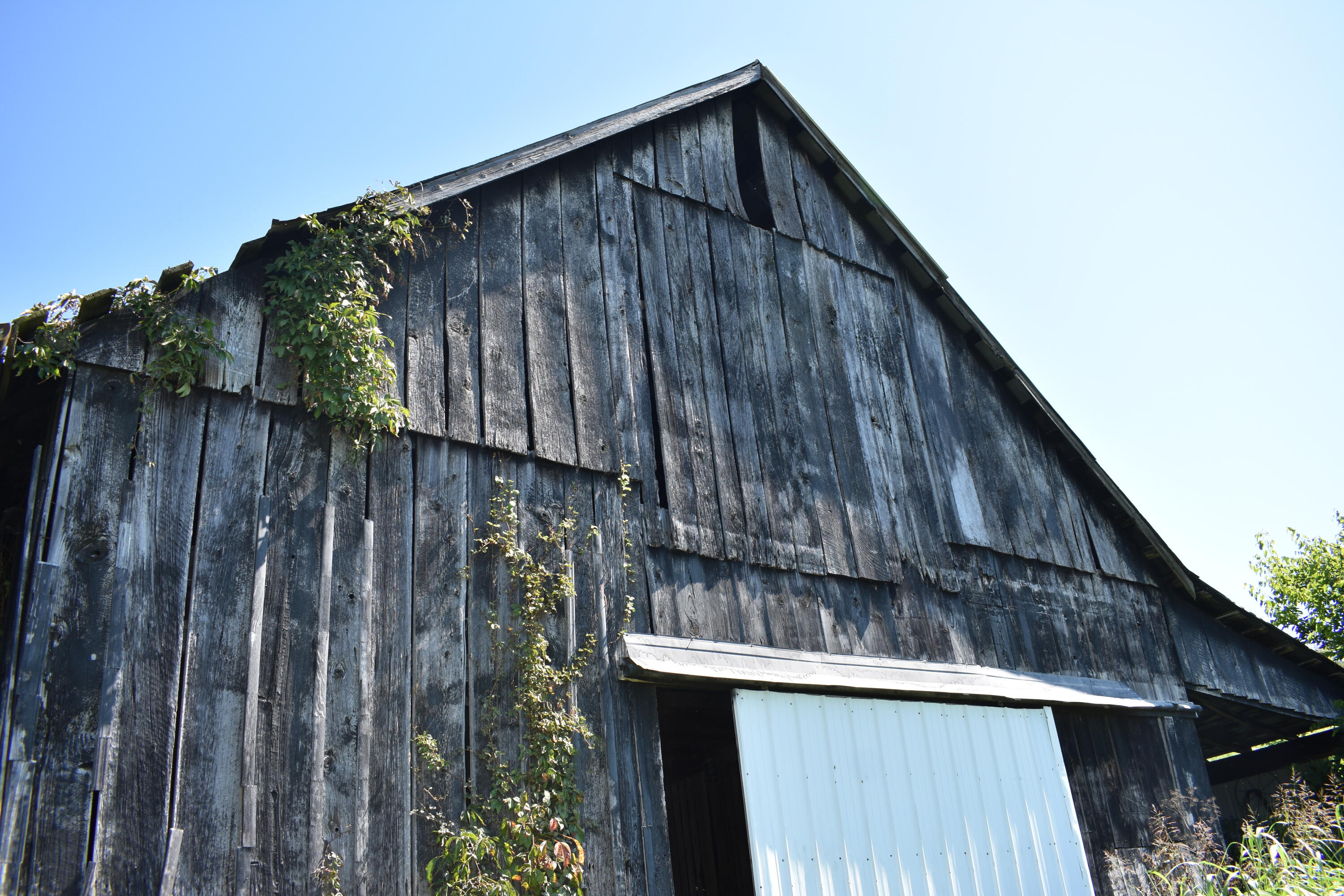 2136 Cole Road Winchester, KY 40391 - Photo 3 of 11 DSC_0454