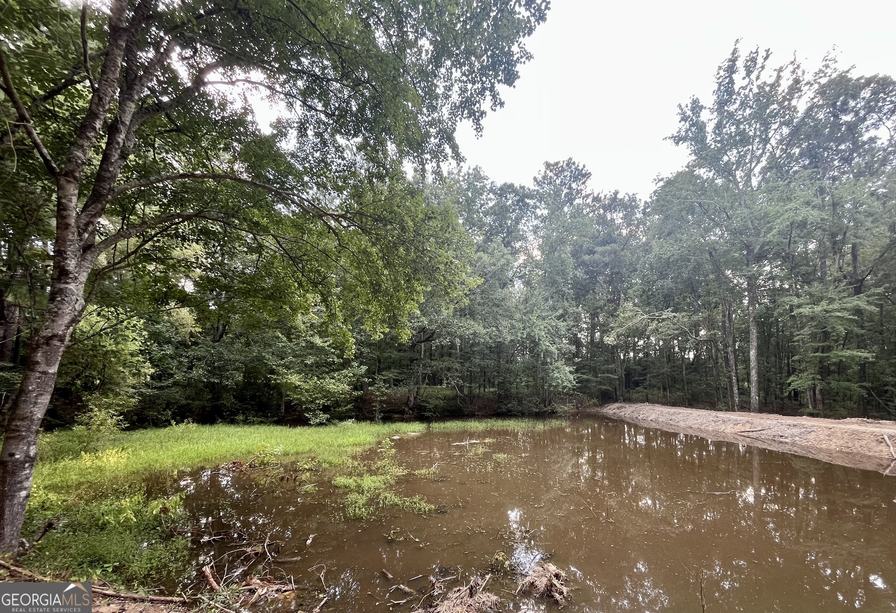 635 Jackson Lake Road Mansfield, GA 30055 - Photo 64 of 68 a view of a field with trees in background